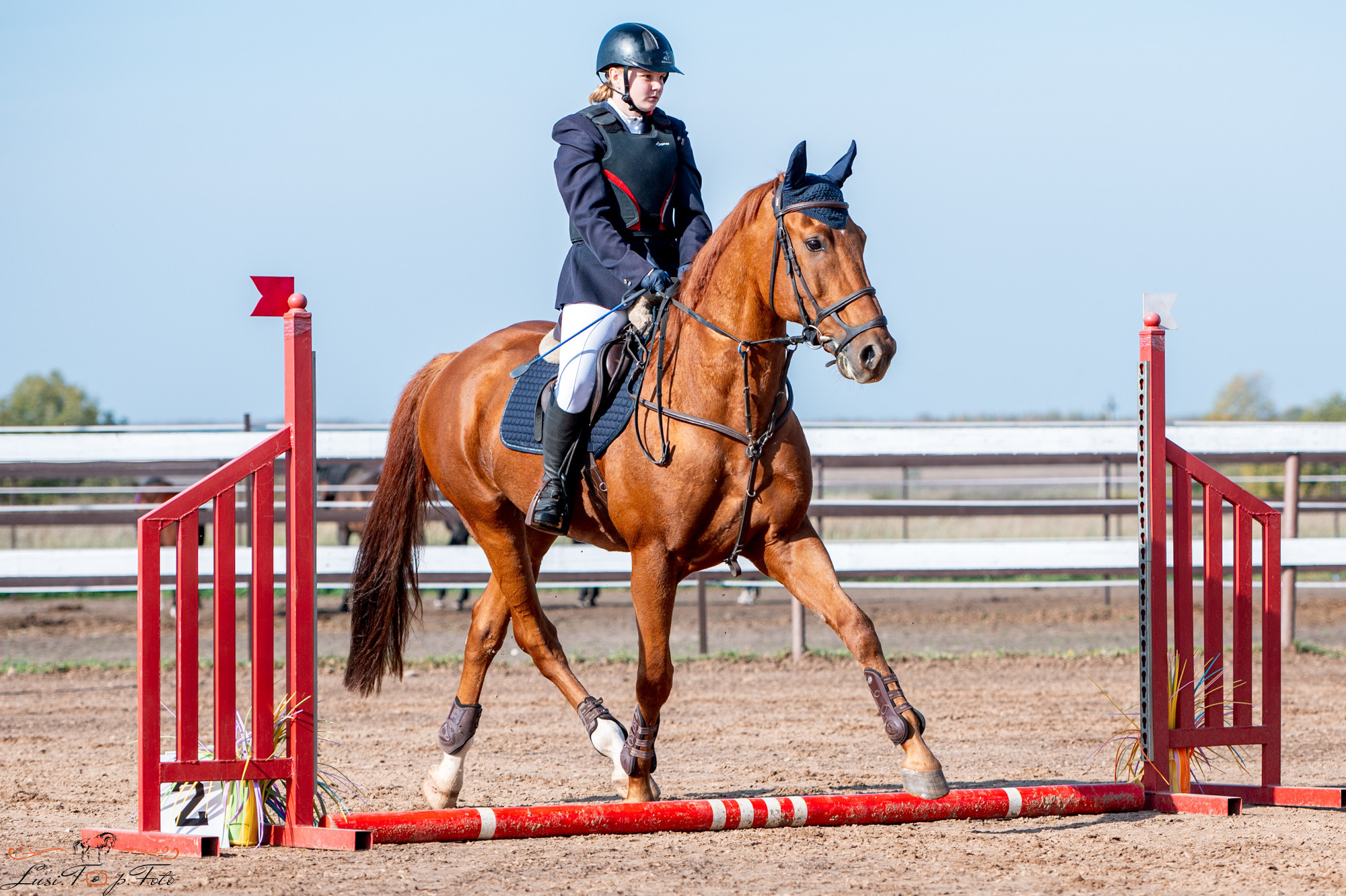 Осенний конкур в КК Резвая. Конный и фотограф с животными в Твери Топталова Люся