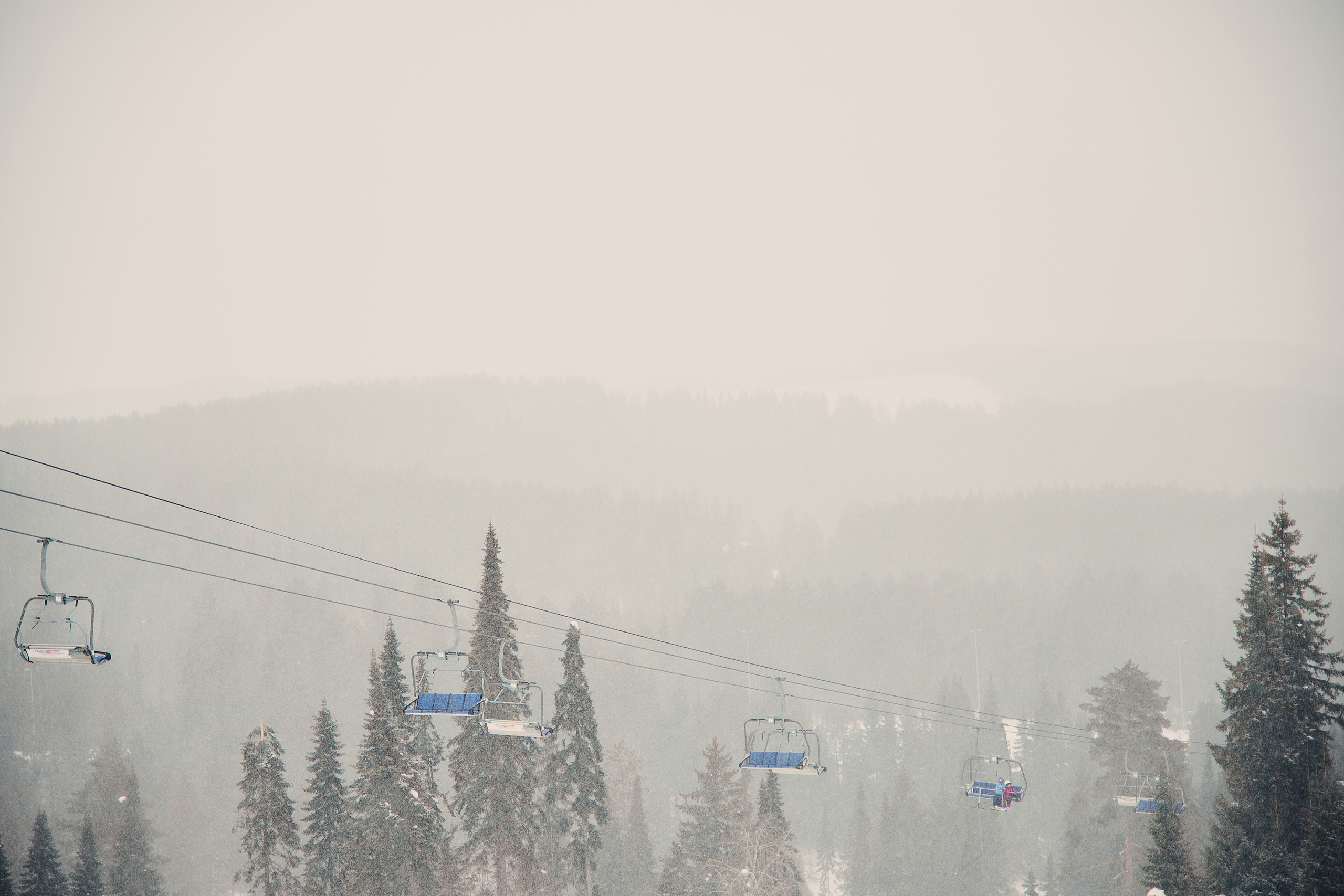 Максим и Ольга. Свадебный фотограф Чайковский