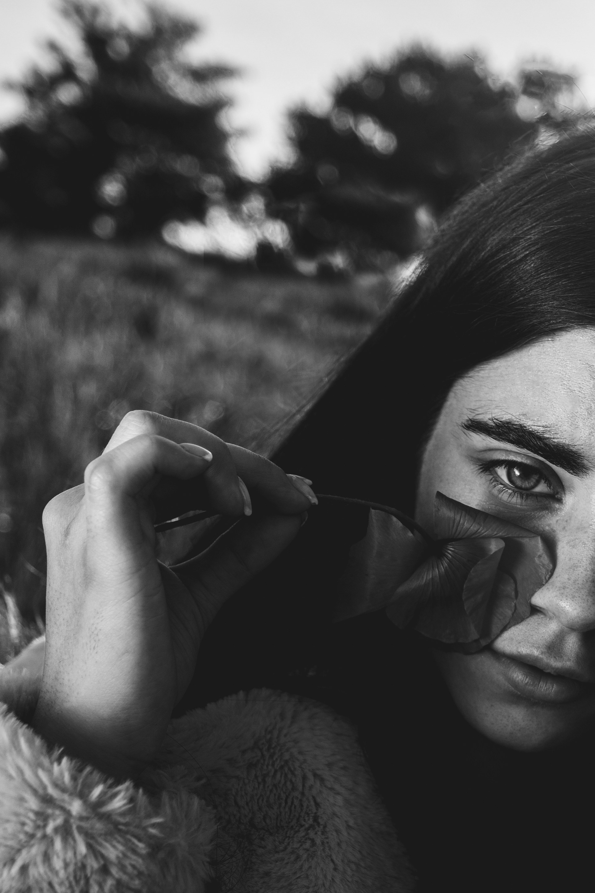 Сертификаты. Свадебный фотограф. Краснодар, Сочи, Новороссийск. Вадим Мерье