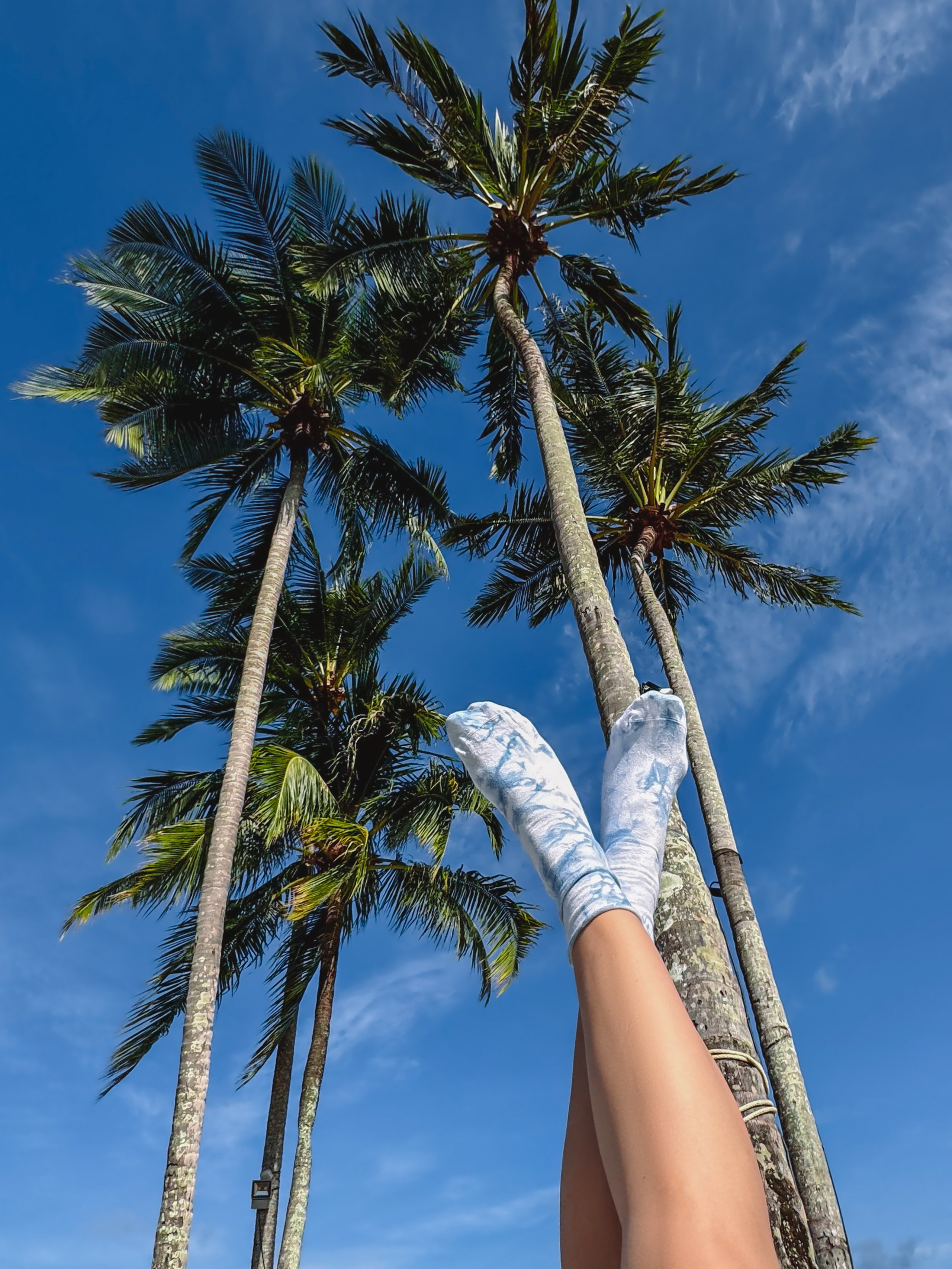 Лимитированная коллекция мерча S7 совместно с брендом Chuka. Носки