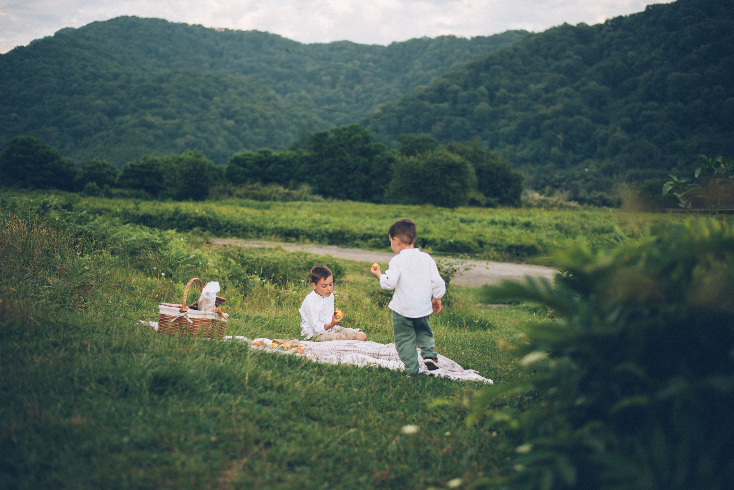 Фотосъемки в горах на чайных плантациях Сочи. Фотограф в Сочи — Маргарита Поганова