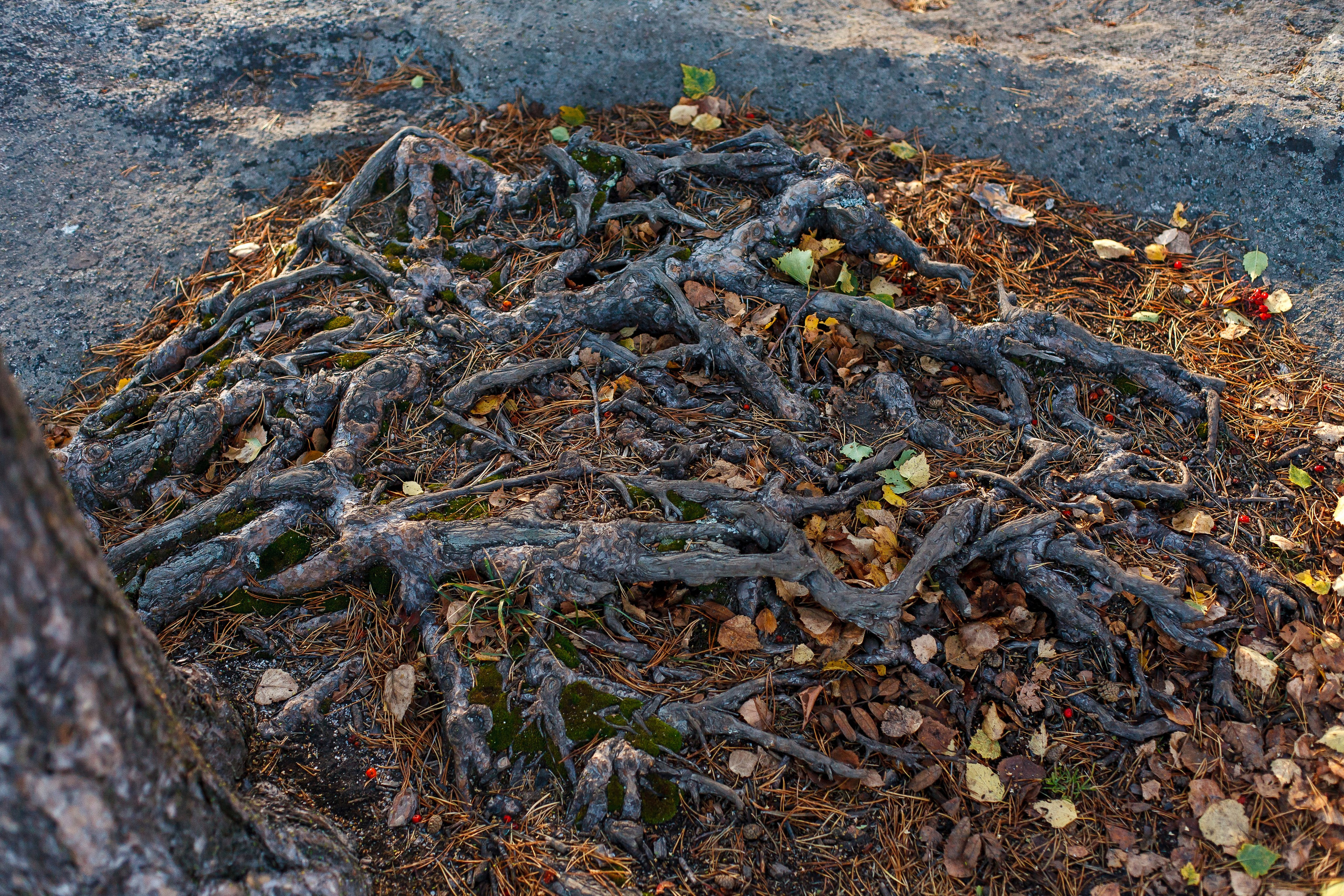 Фотопоход на Шихан «Клопы и Шарлотка!». Фотограф Челябинск · Ольга Серебрякова
