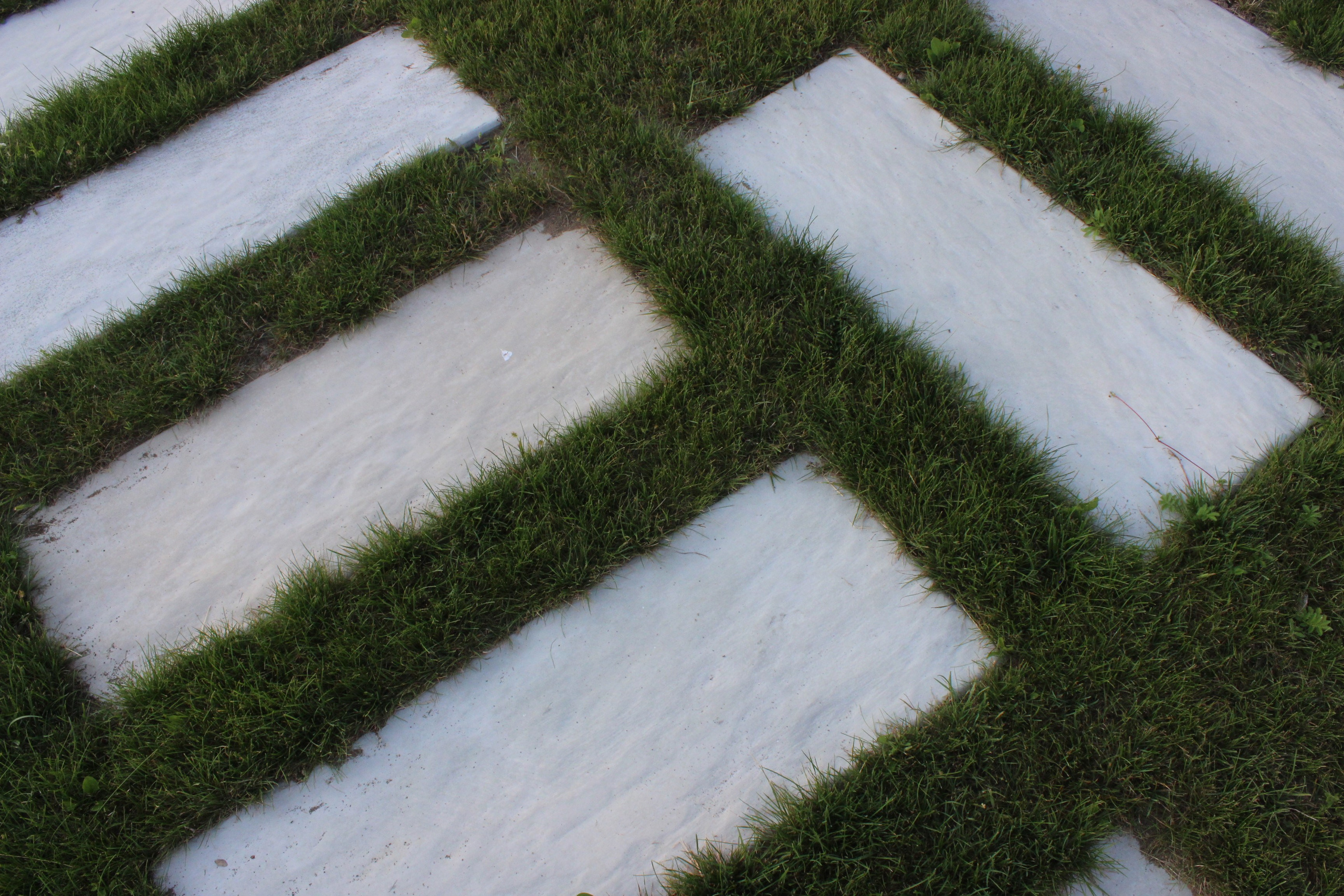 GARDEN IN R. LA. Ландшафтный дизайн в Минске и Гродно