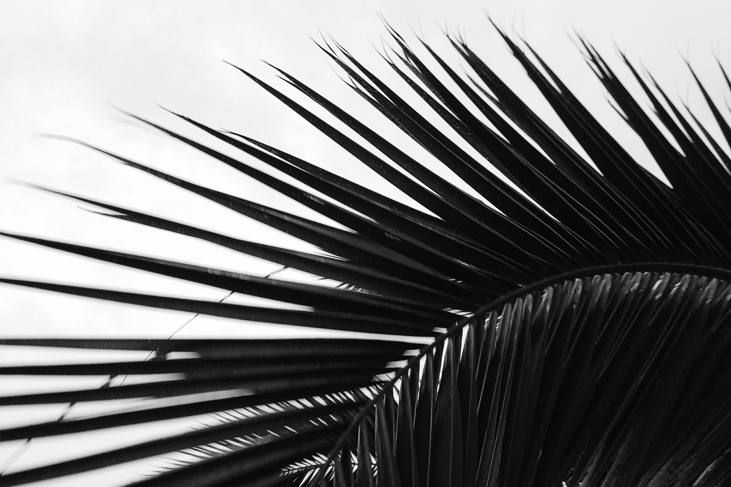 Фотограф Катерина Ивашова