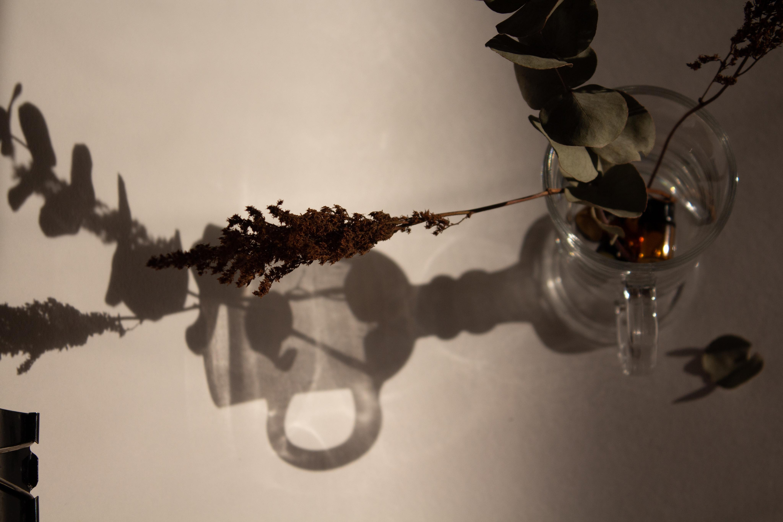 Эфирные масла. Фотограф для вас и вашего бизнеса в Москве Альбина Никифоров