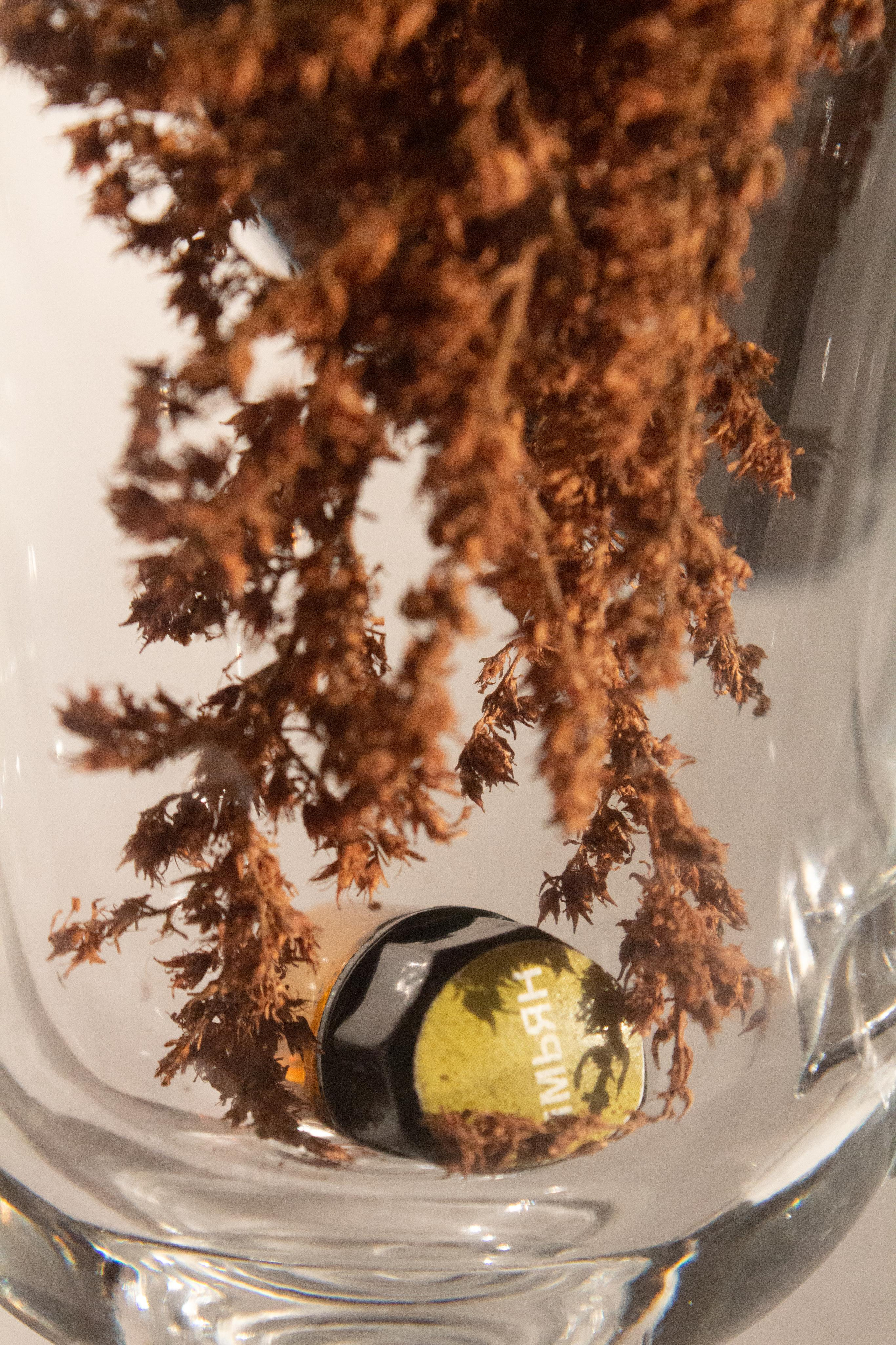 Эфирные масла. Фотограф для вас и вашего бизнеса в Москве Альбина Никифоров