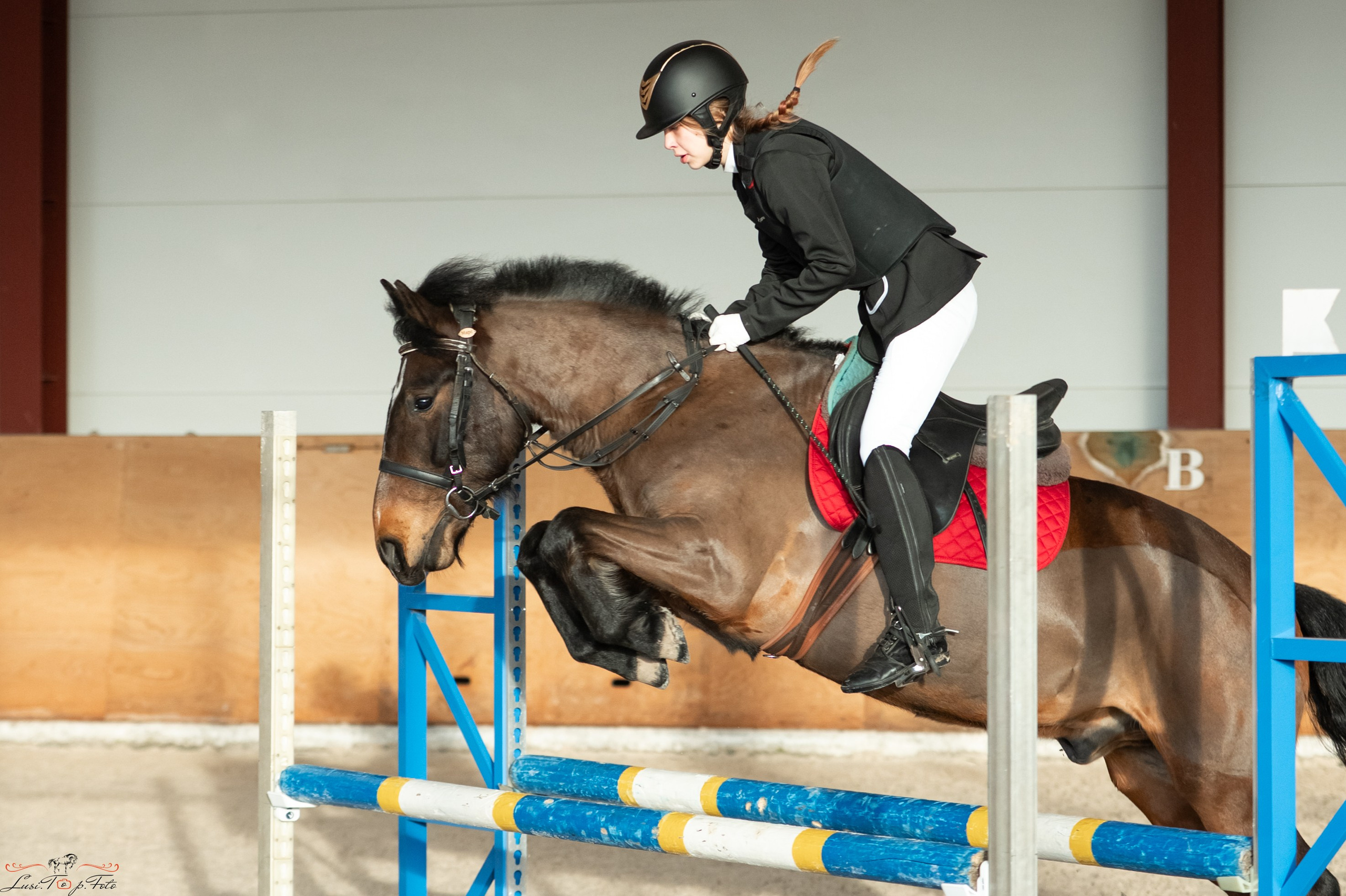 Эквипарк 6 этап Кубка Клубов. Конный и фотограф с животными в Твери Топталова Люся