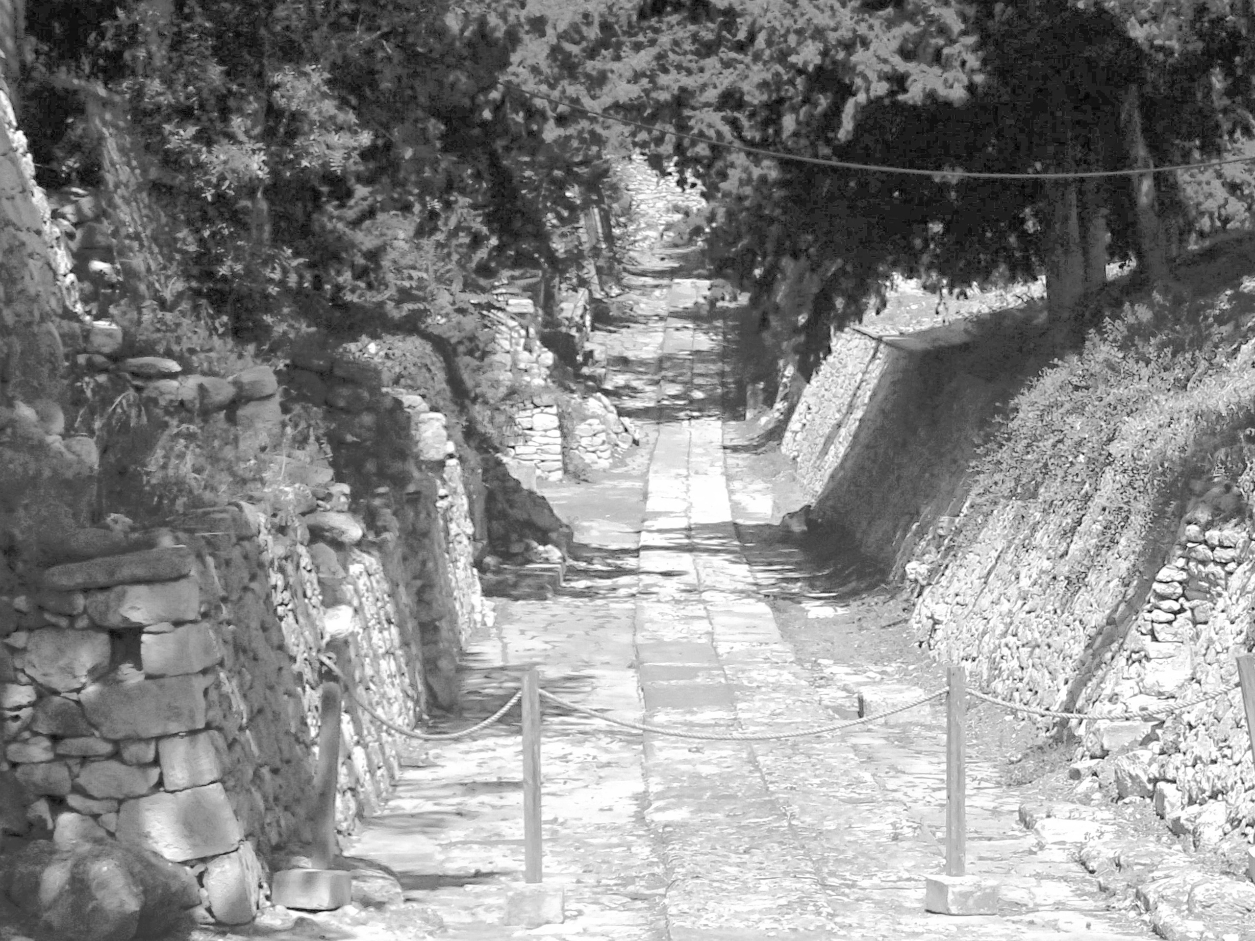 Nostalgia for Crete. Home