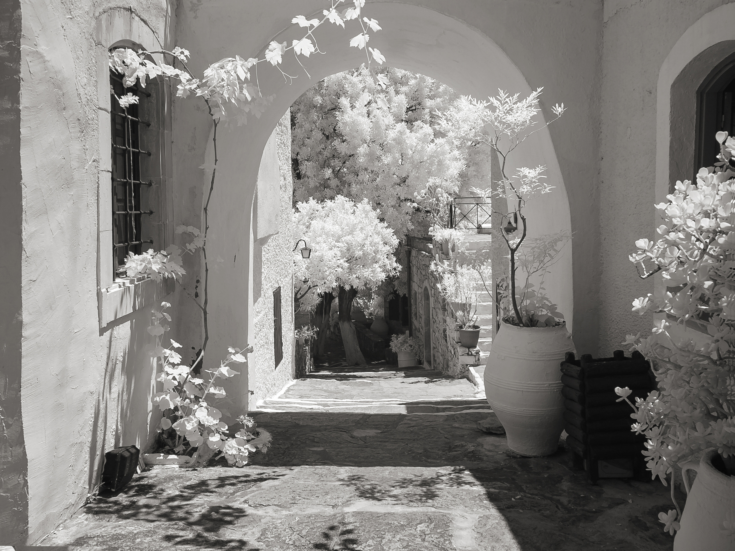 Nostalgia for Crete. Home
