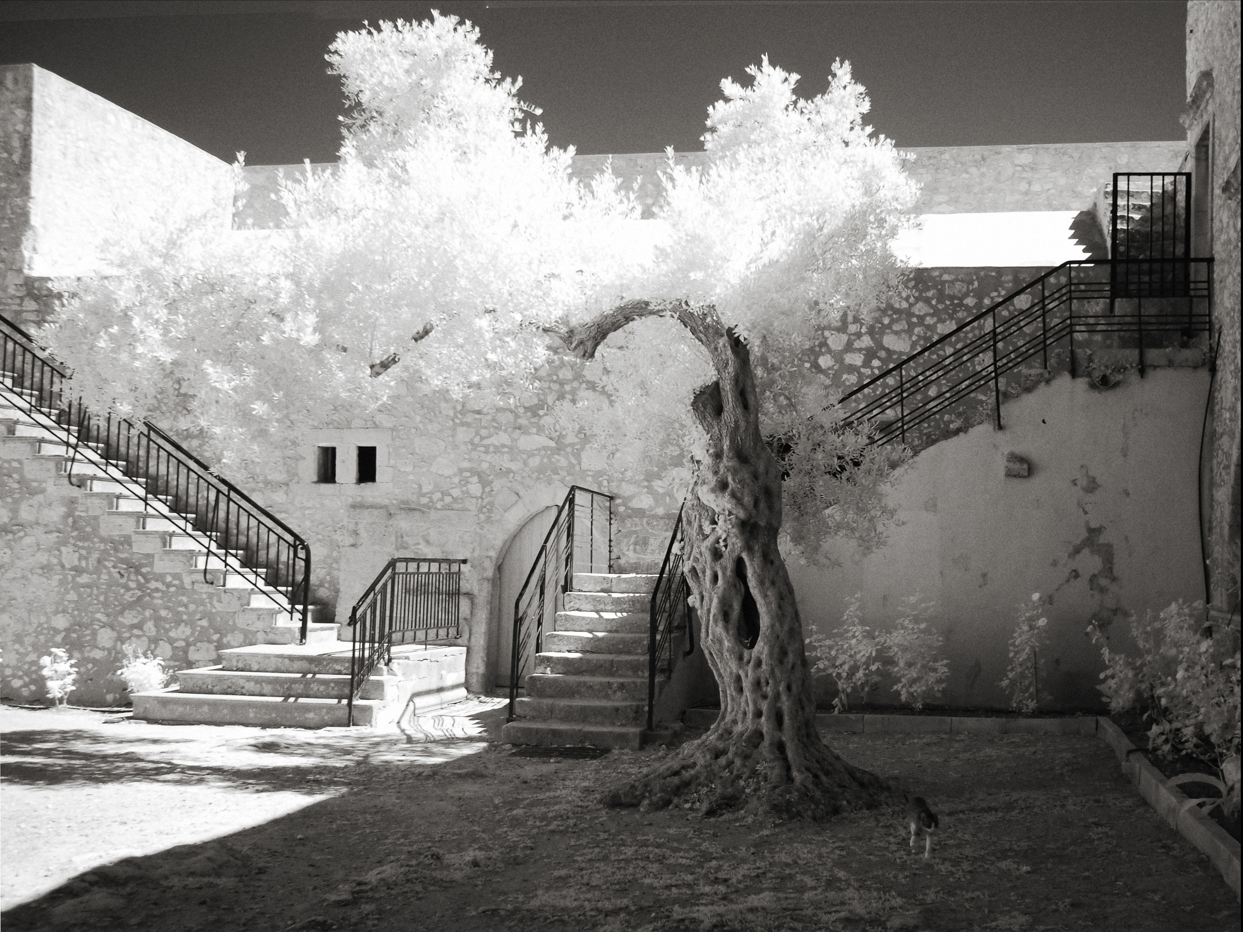 Nostalgia for Crete. Home