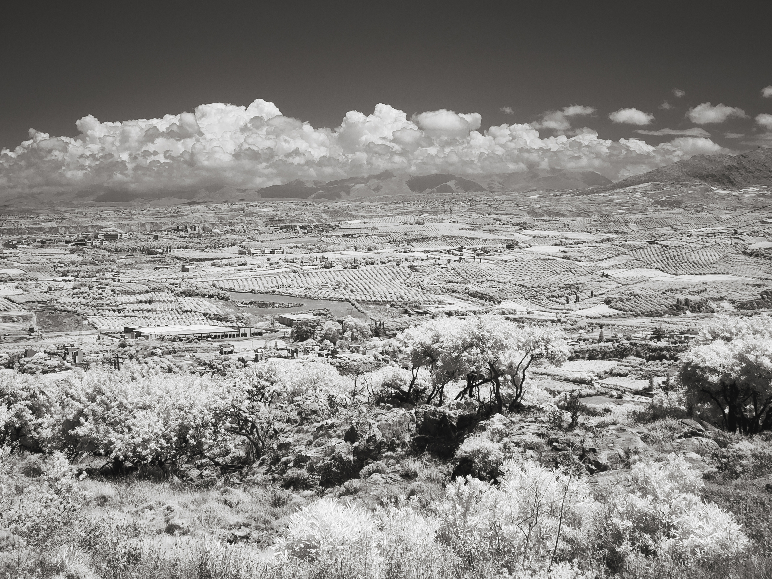 Nostalgia for Crete. Home