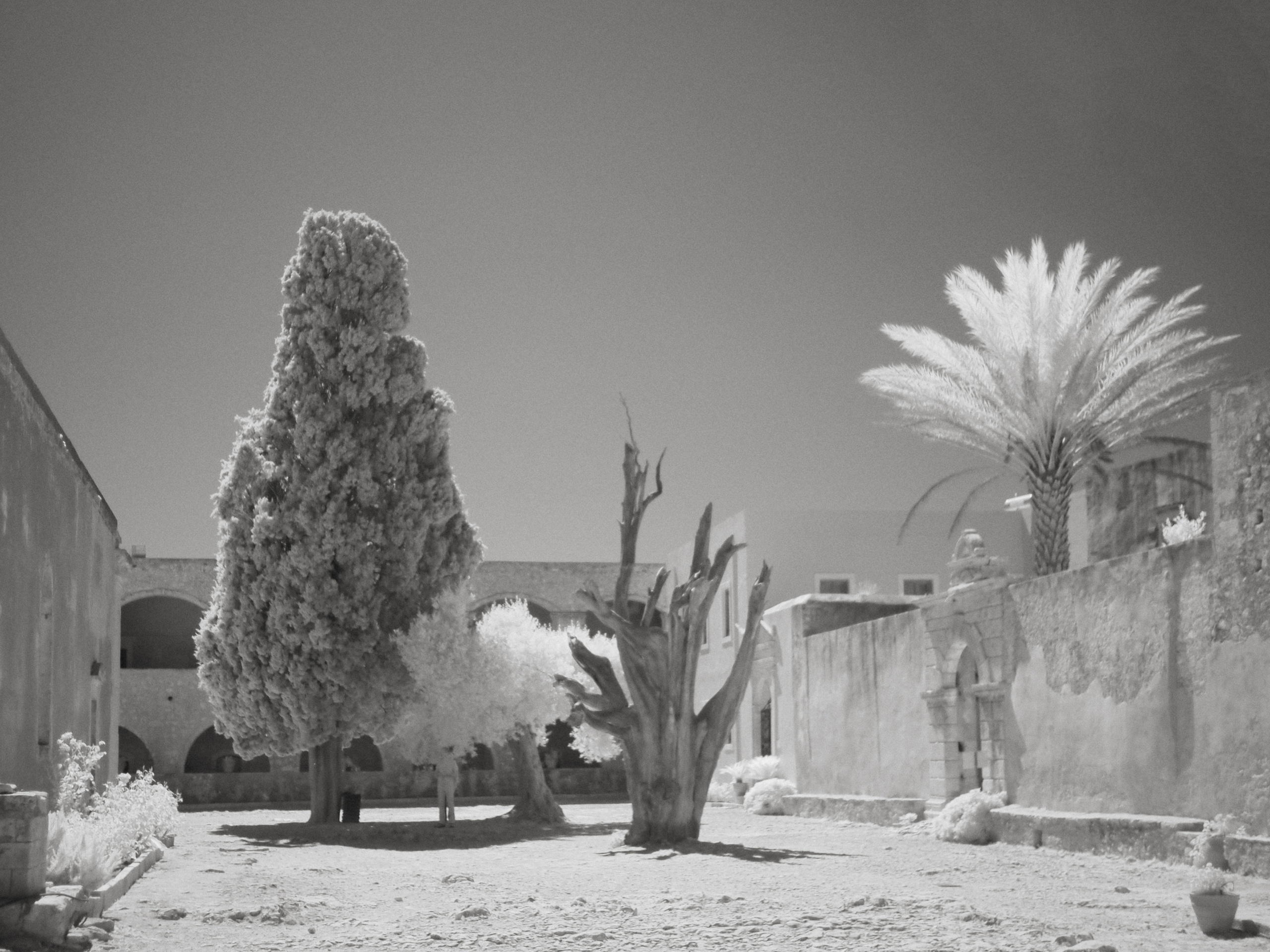 Nostalgia for Crete. Home