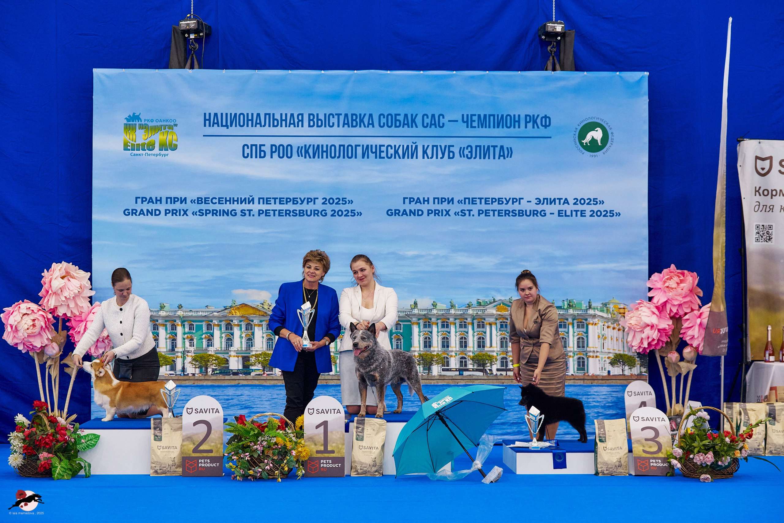 ГРАН ПРИ «ВЕСЕННИЙ ПЕТЕРБУРГ» & «СУПЕР КУБОК «ЭЛИТЫ»-2025»