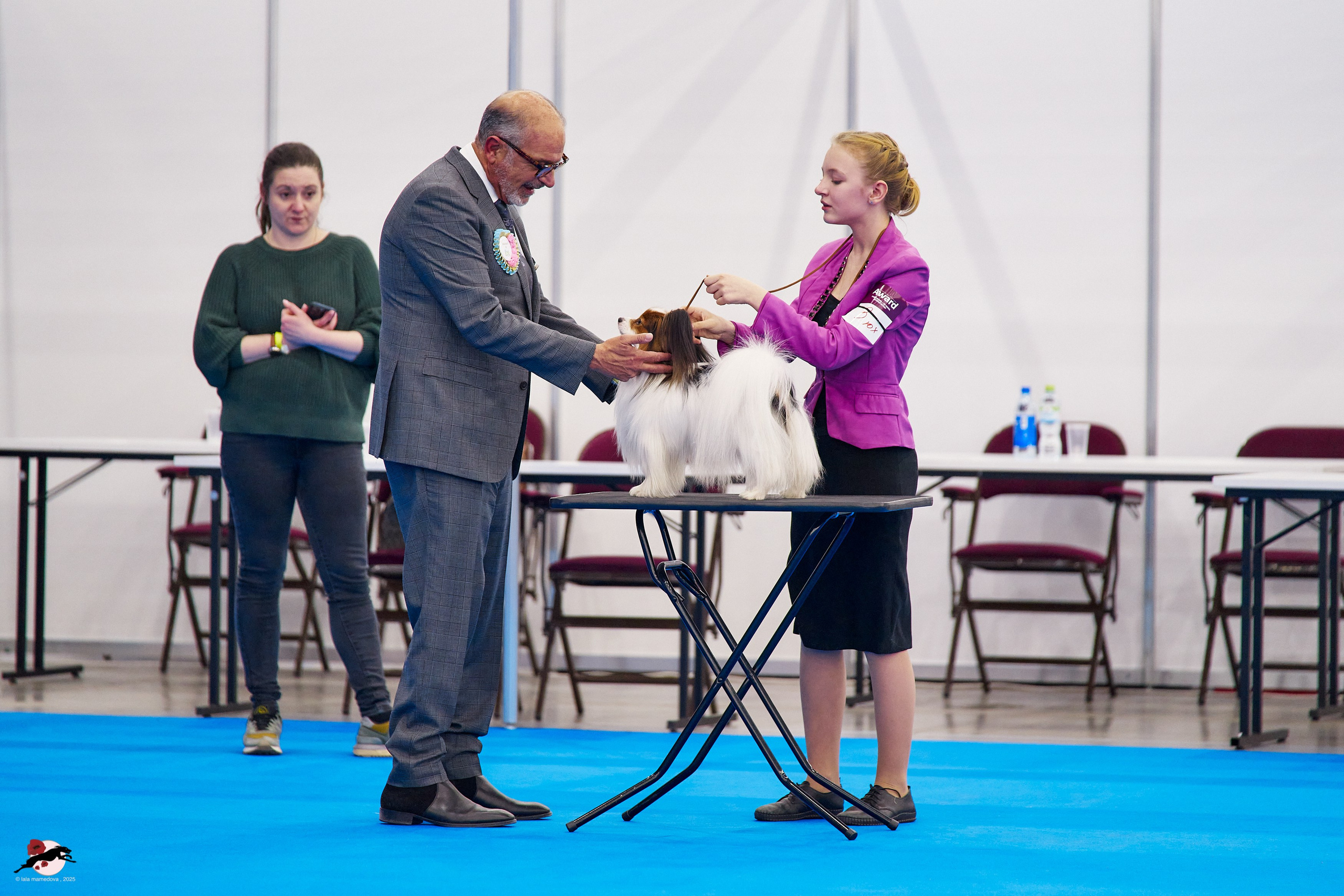ГРАН ПРИ «ВЕСЕННИЙ ПЕТЕРБУРГ» & «СУПЕР КУБОК «ЭЛИТЫ»-2025»