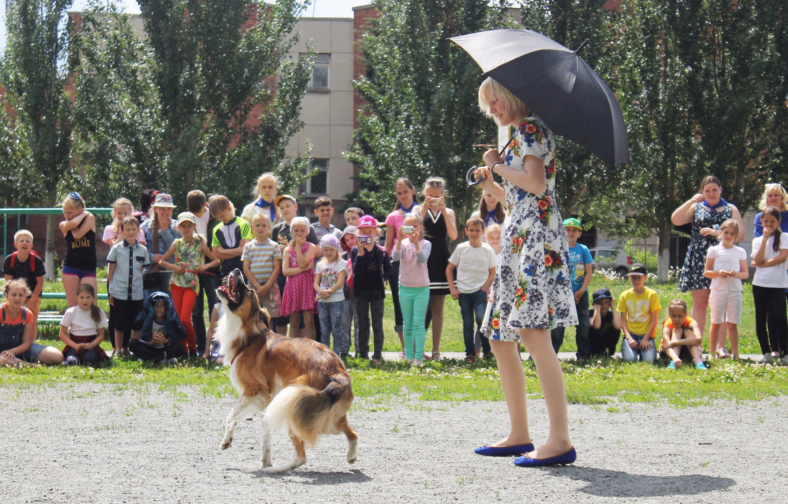 О нас. BLGKV питомник собак