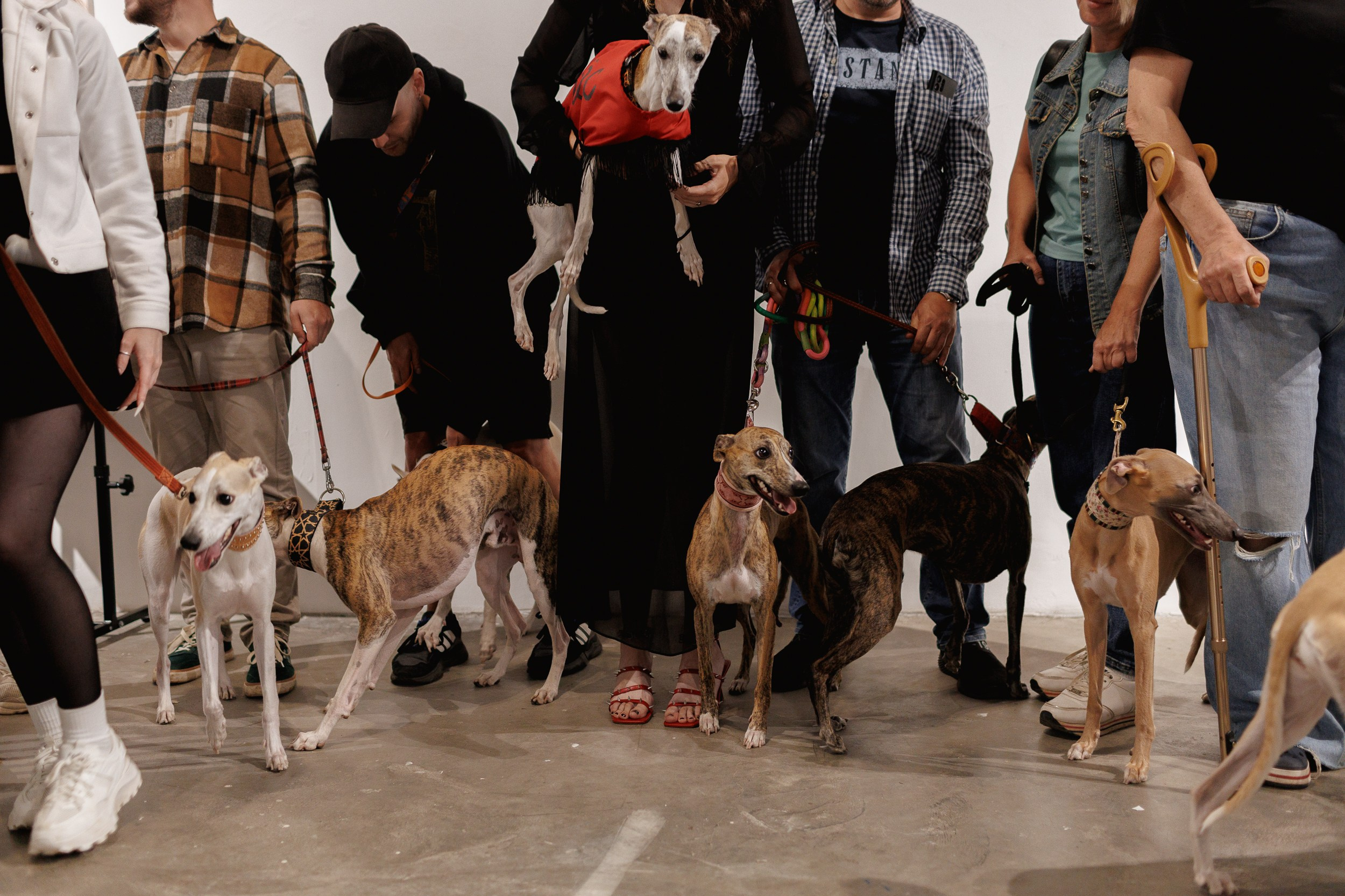 Жив был пёс. Собачий художник Поля Стриж