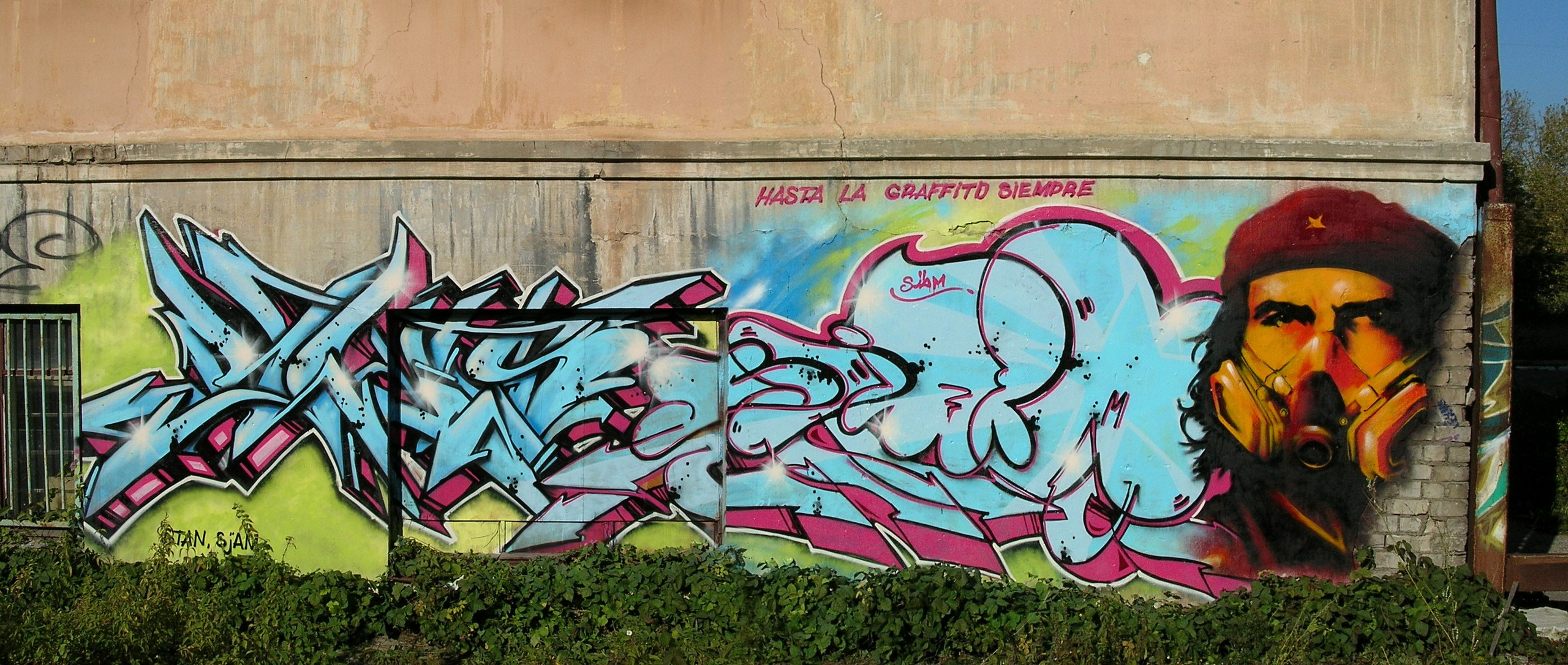 Graffiti. Alexander Stan Shimanov