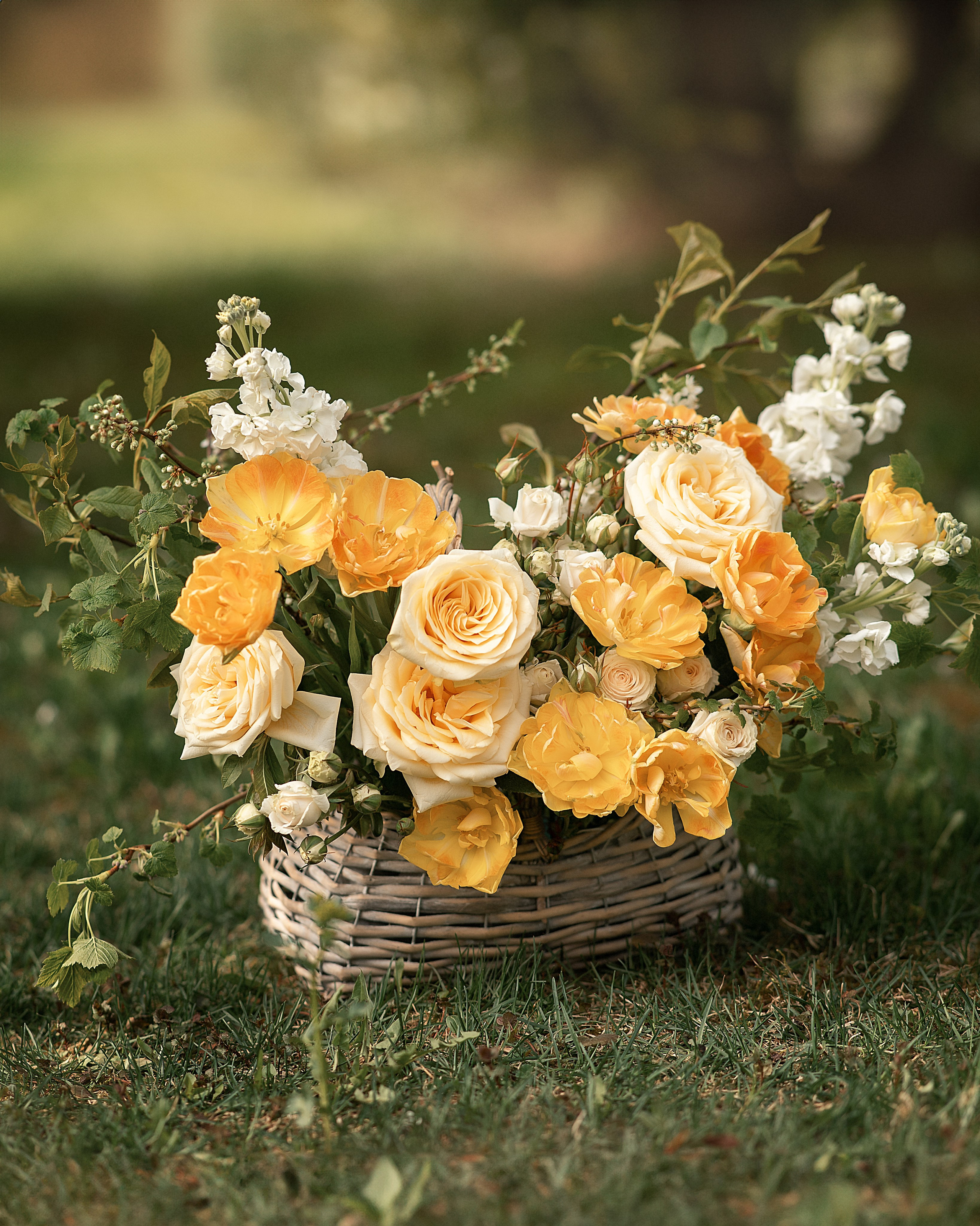 Фотосессия девушки в цветении. Женский фотограф в Москве Богдашкина Динара