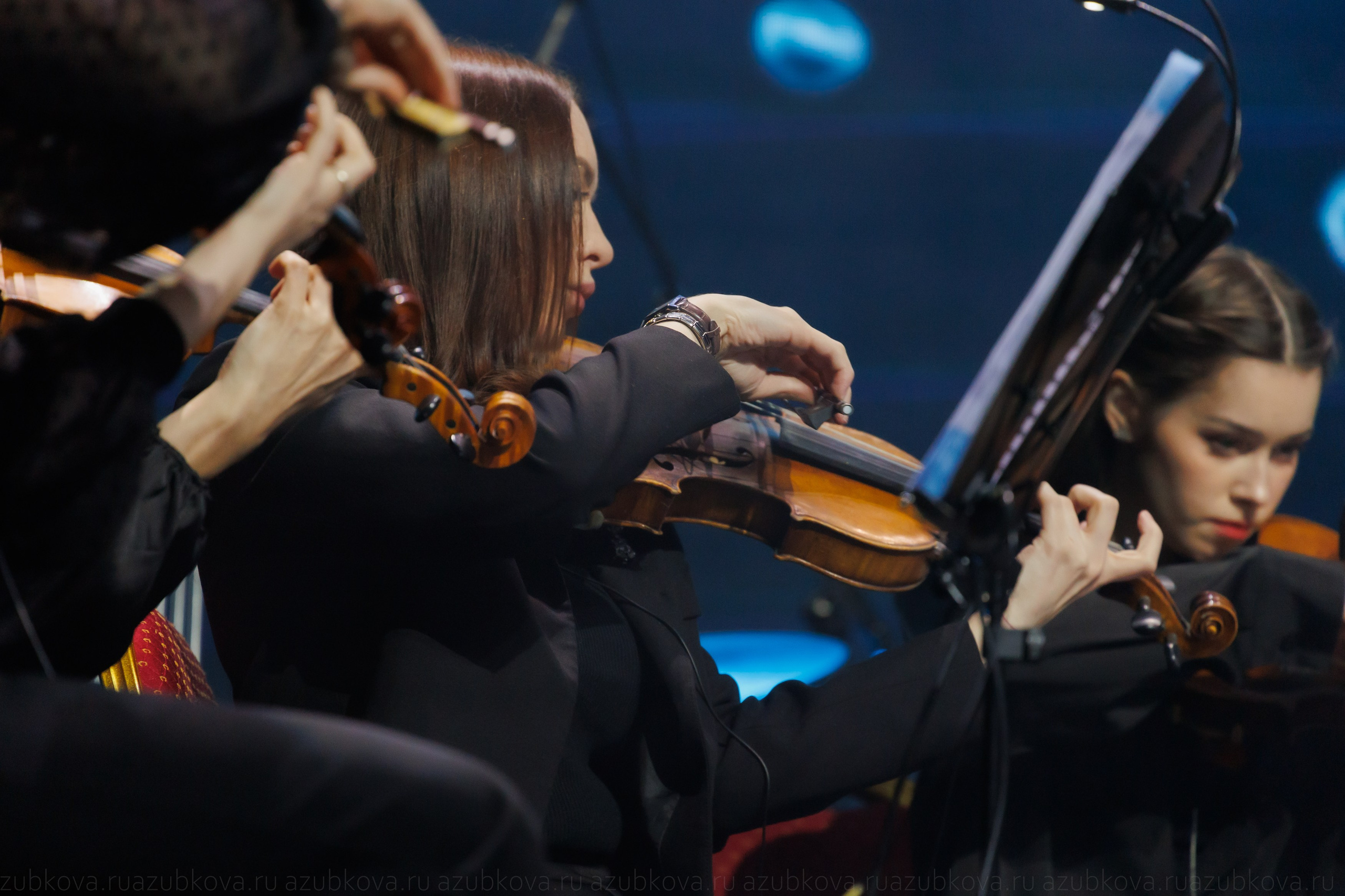 Sting Desert Rose Symphony. Фотограф Анастасия Зубкова