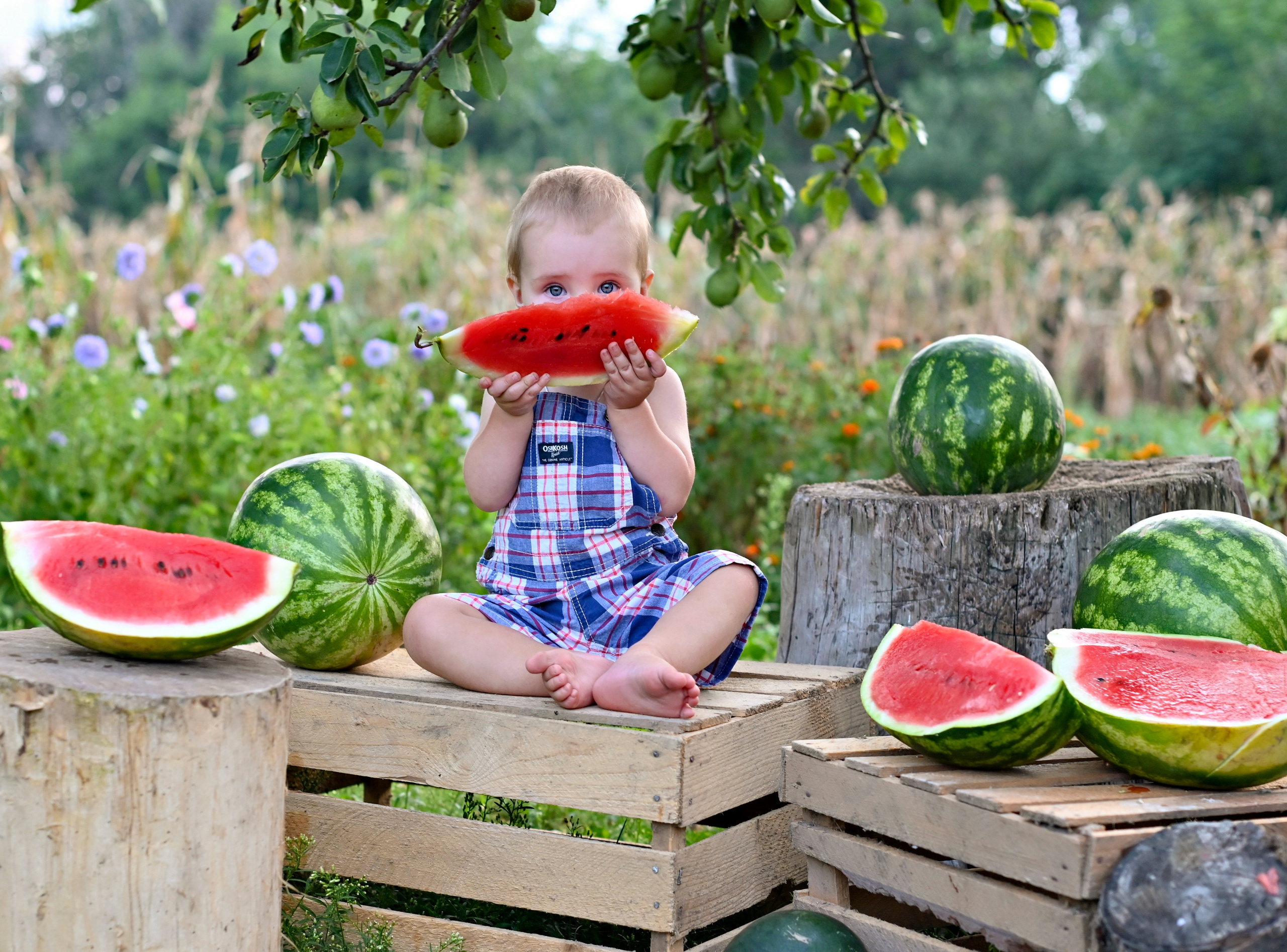 детская фотосессия с арбузами идеи
