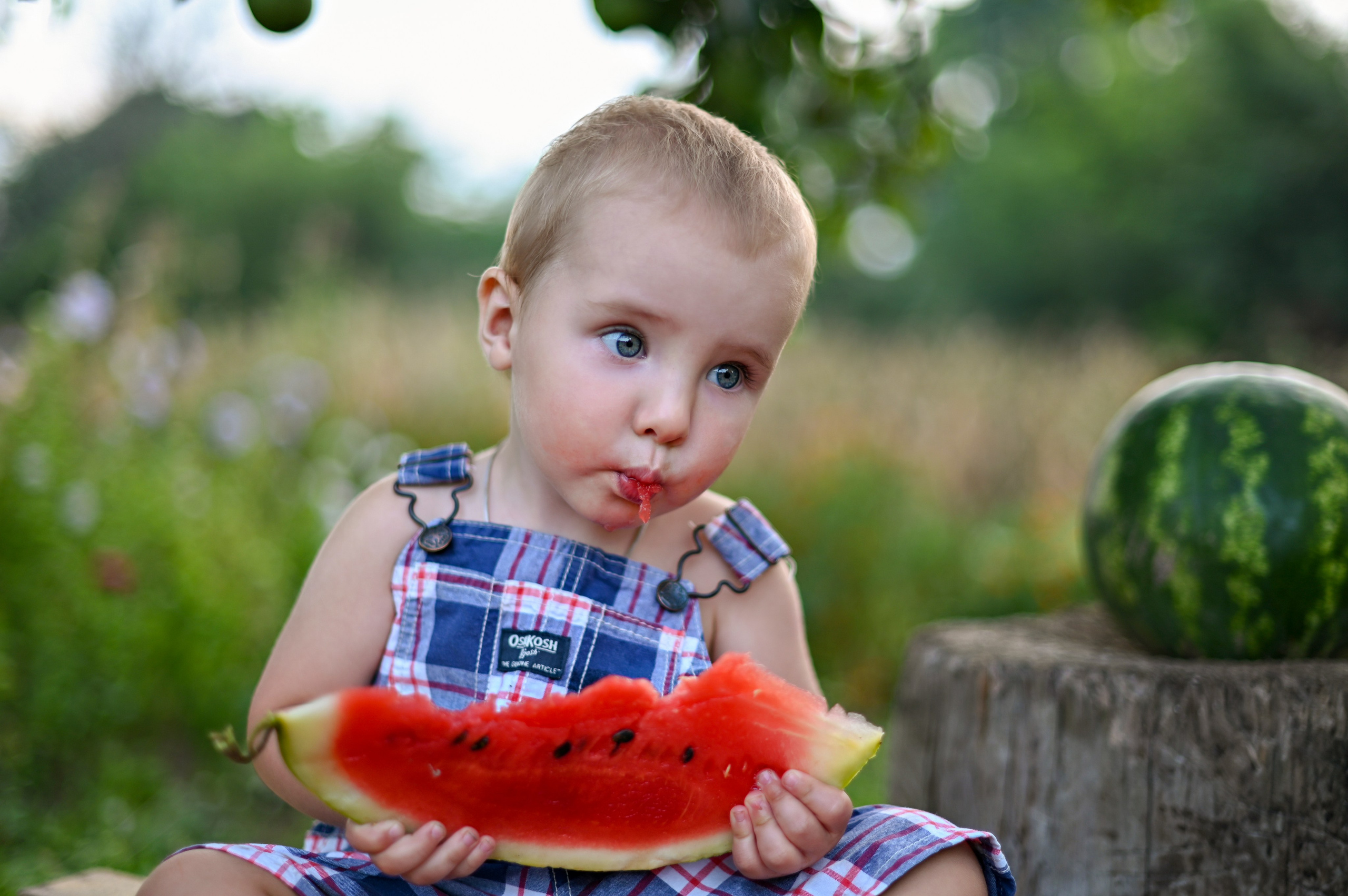 арбузный фотопроект