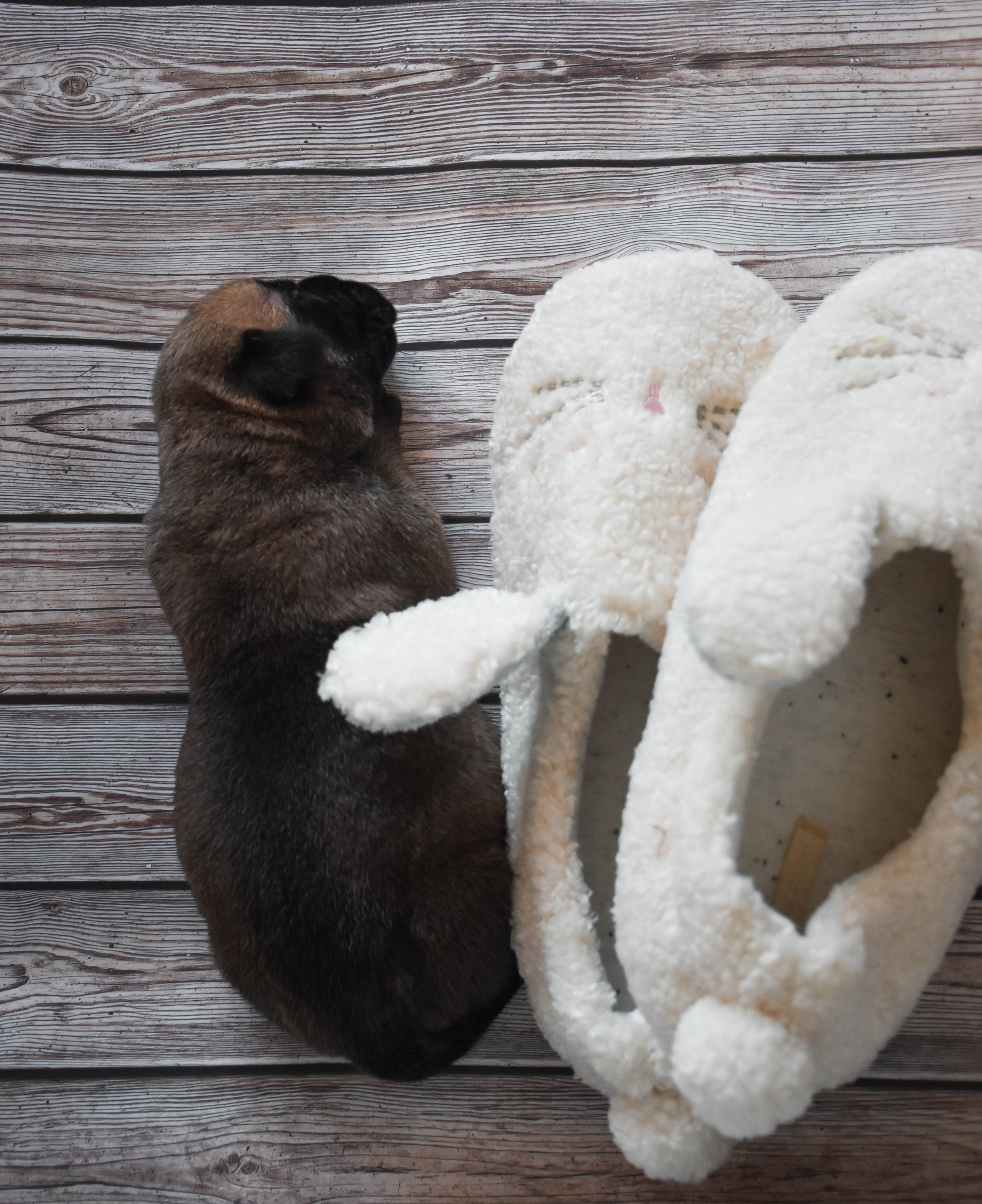 В созвучии с природой. Фотограф Светлана В. Пронина, Москва