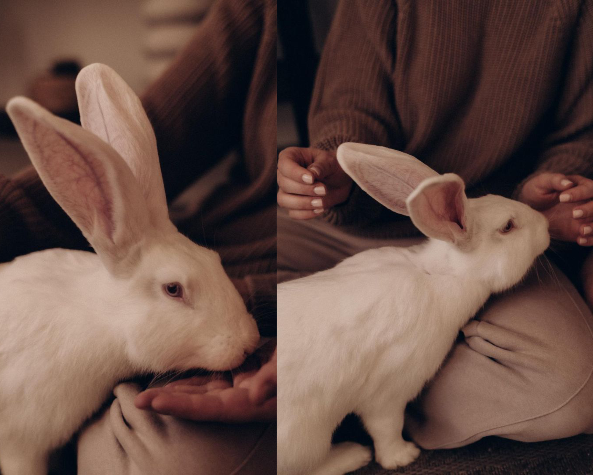 Фотостудия Молоко в Минске