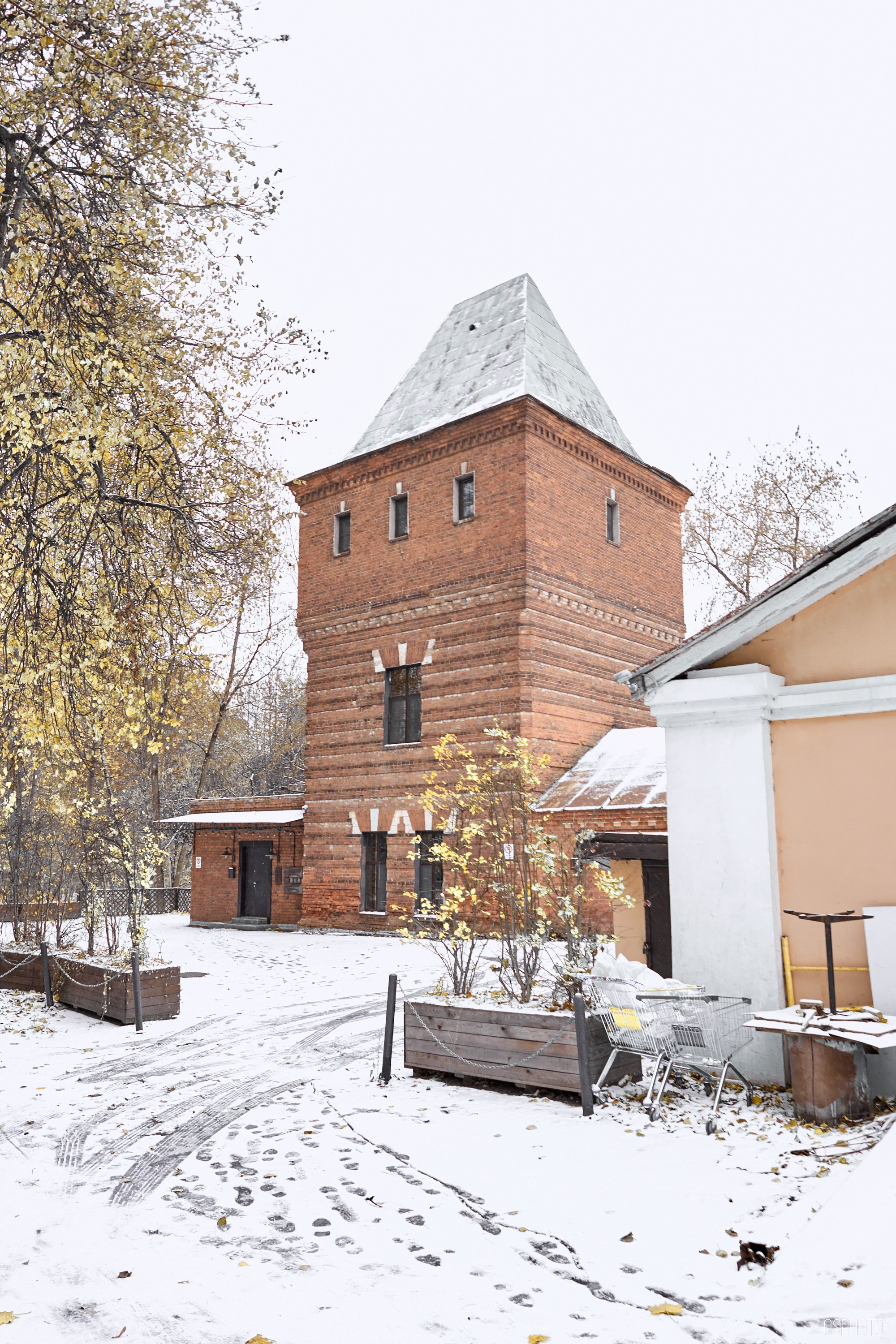 «Иду лесом». Кофе лофт в Братцево. Фотографъ Сергѣевъ. Поймать мгновеніе