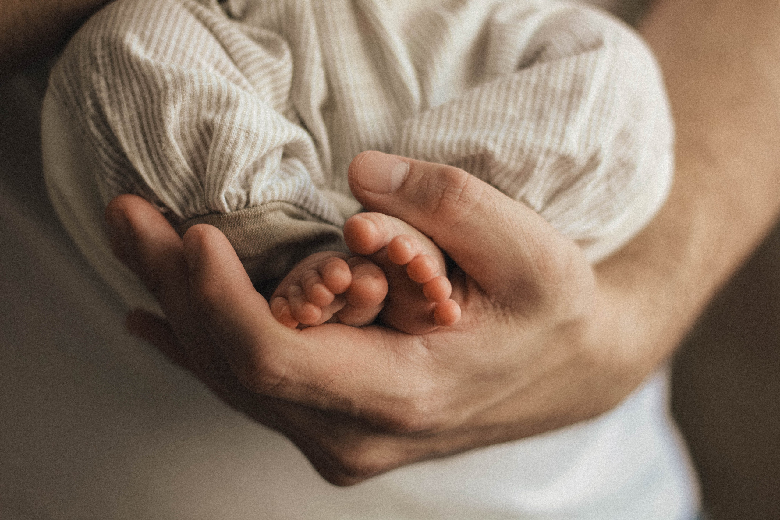 Новорожденные. Фотограф Александр Солнечный