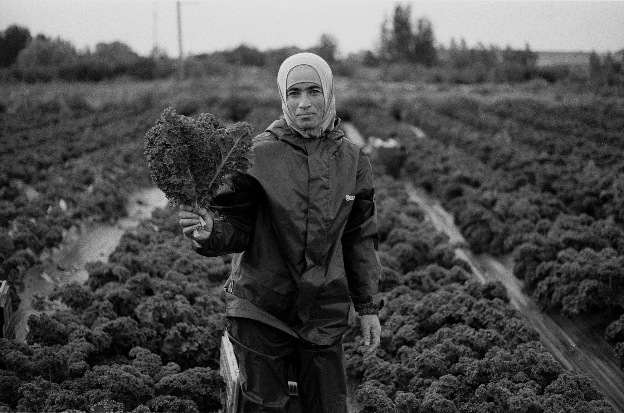 SuperFoodFarm. The history of the farm. Another person Pavel Potseluev. A photographer in 2025