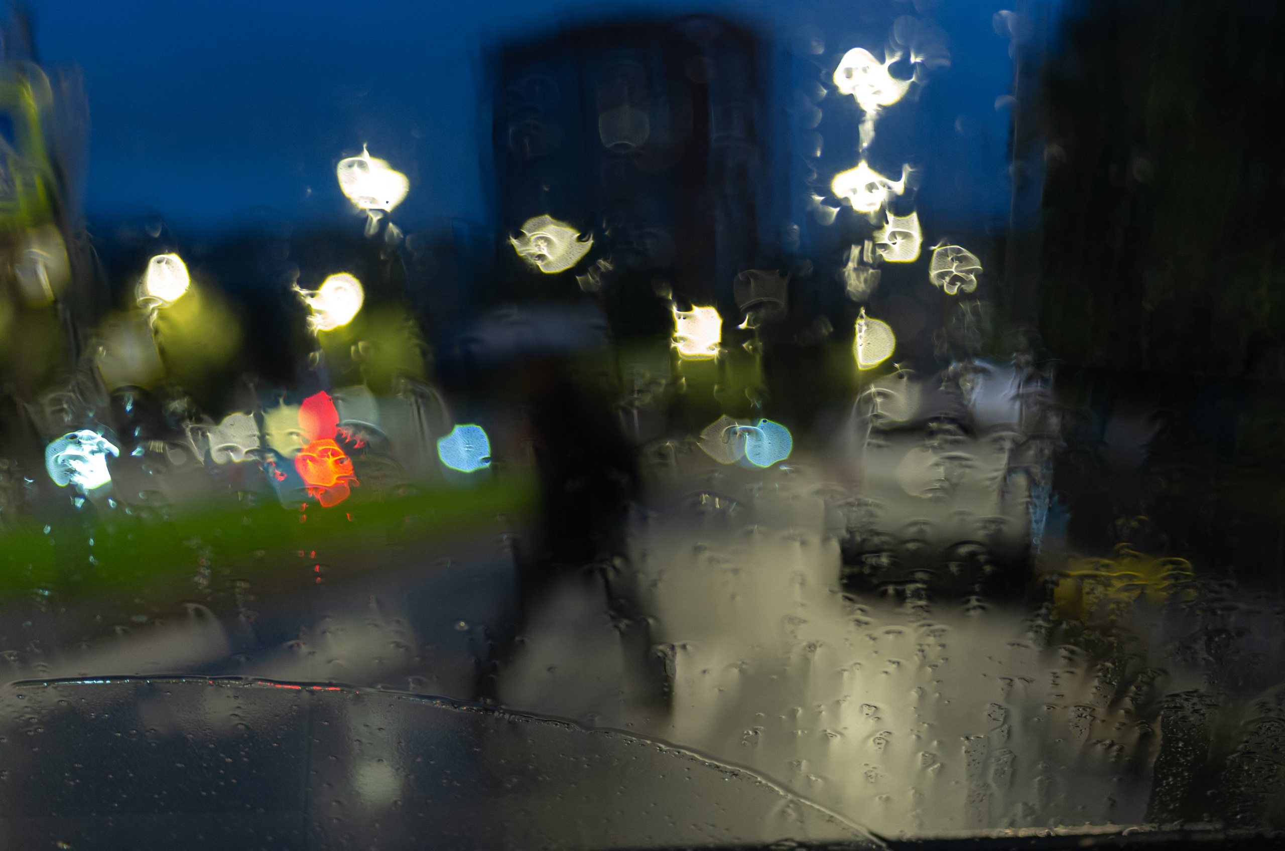 Фотограф Даниил Богомолов, Санкт-Петербург