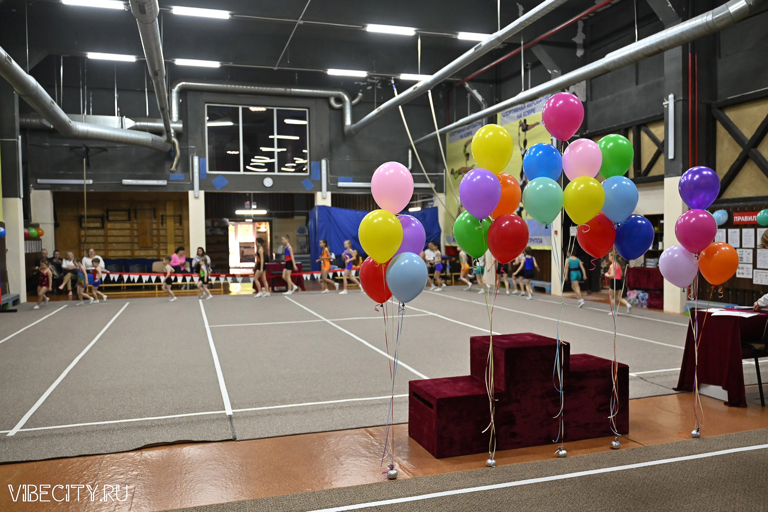 Контрольная тренировка по спортивной гимнастике. VIBECITY.RU Вайб Сити Ру Фоторепортажи Фотоотчеты Калининград