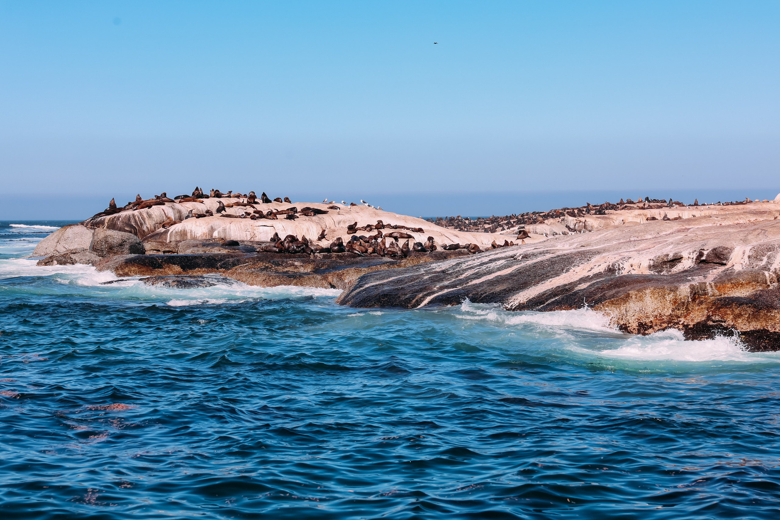 Фотограф Марина Аблаева-Кожедуб