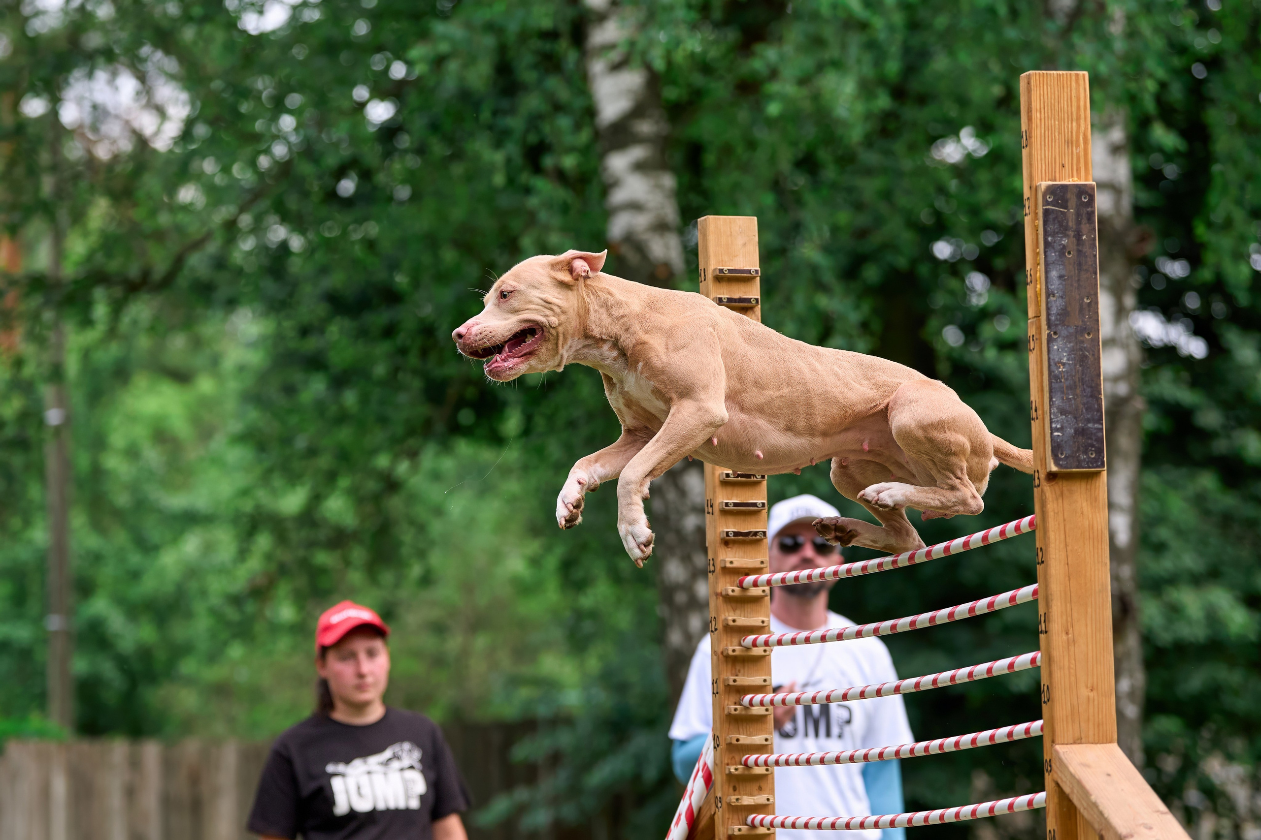 Двухдневные соревнования «Jump'n'Gym Fest — 2024». Фотограф-анималист Михаил Манухин