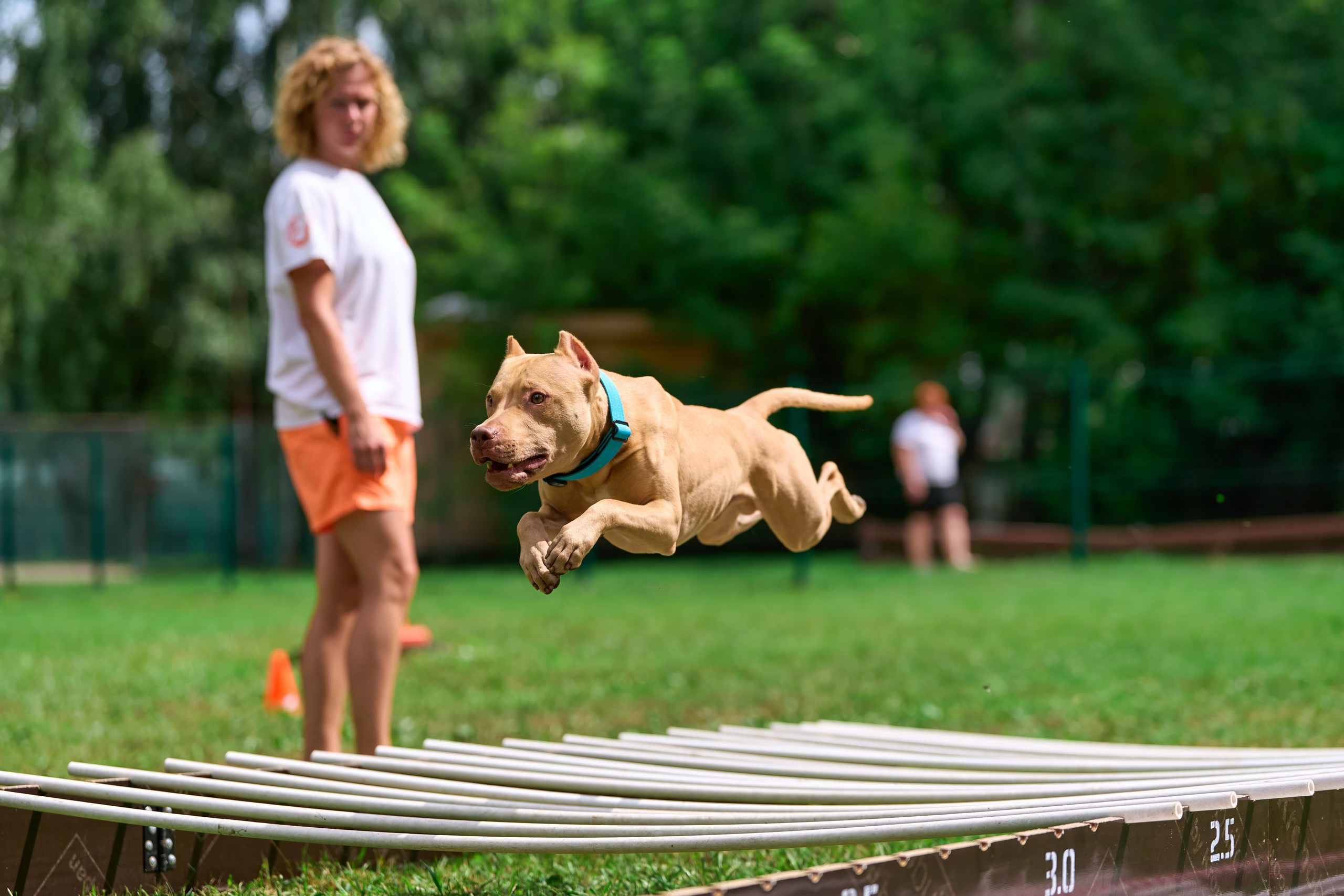 Jump'n'Gym JUMP! — 2024. Фотограф-анималист Михаил Манухин