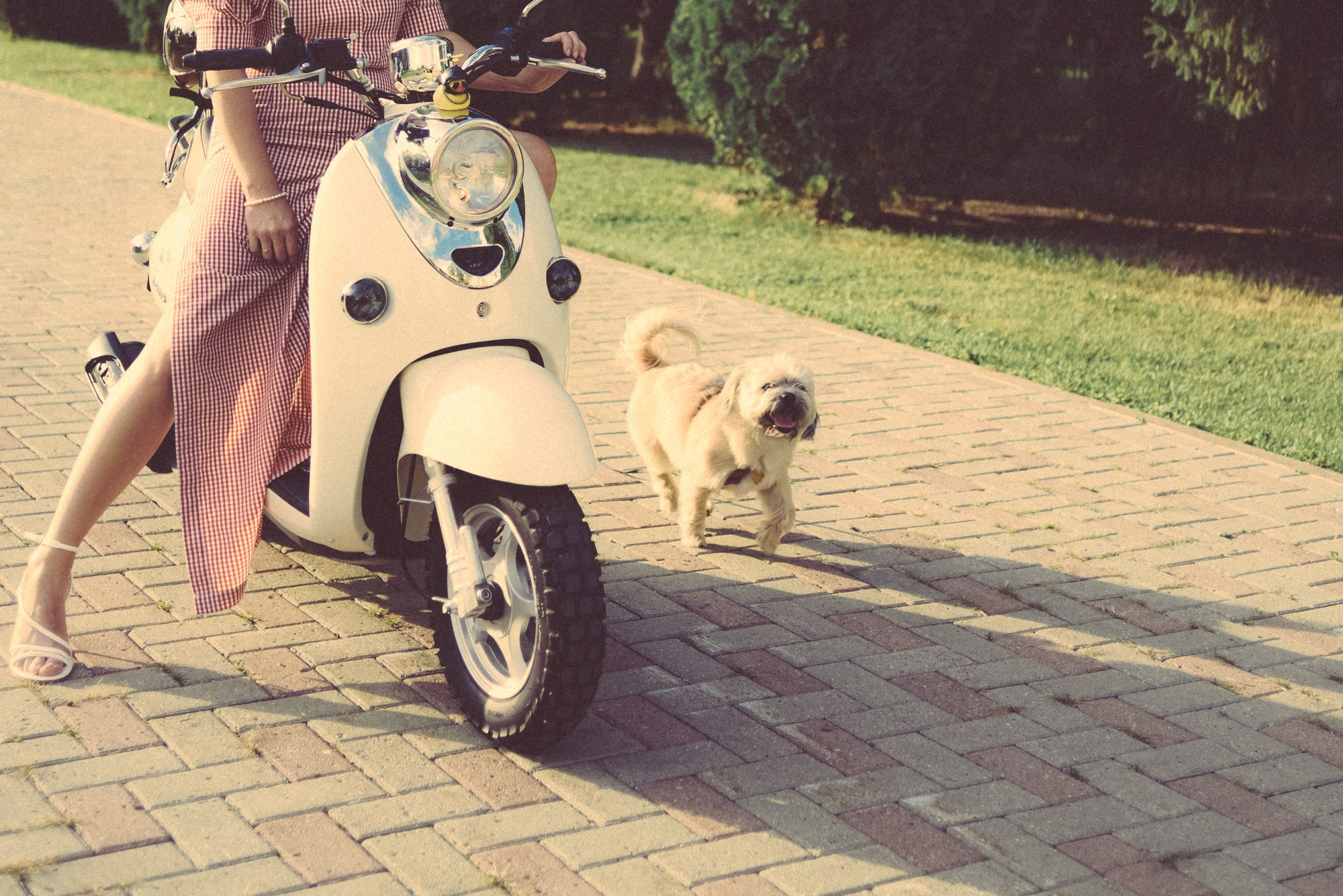 Фотопроект Женя, женский портрет в Тюмени. Портретный фотограф Тюмень Дарья Мустафина