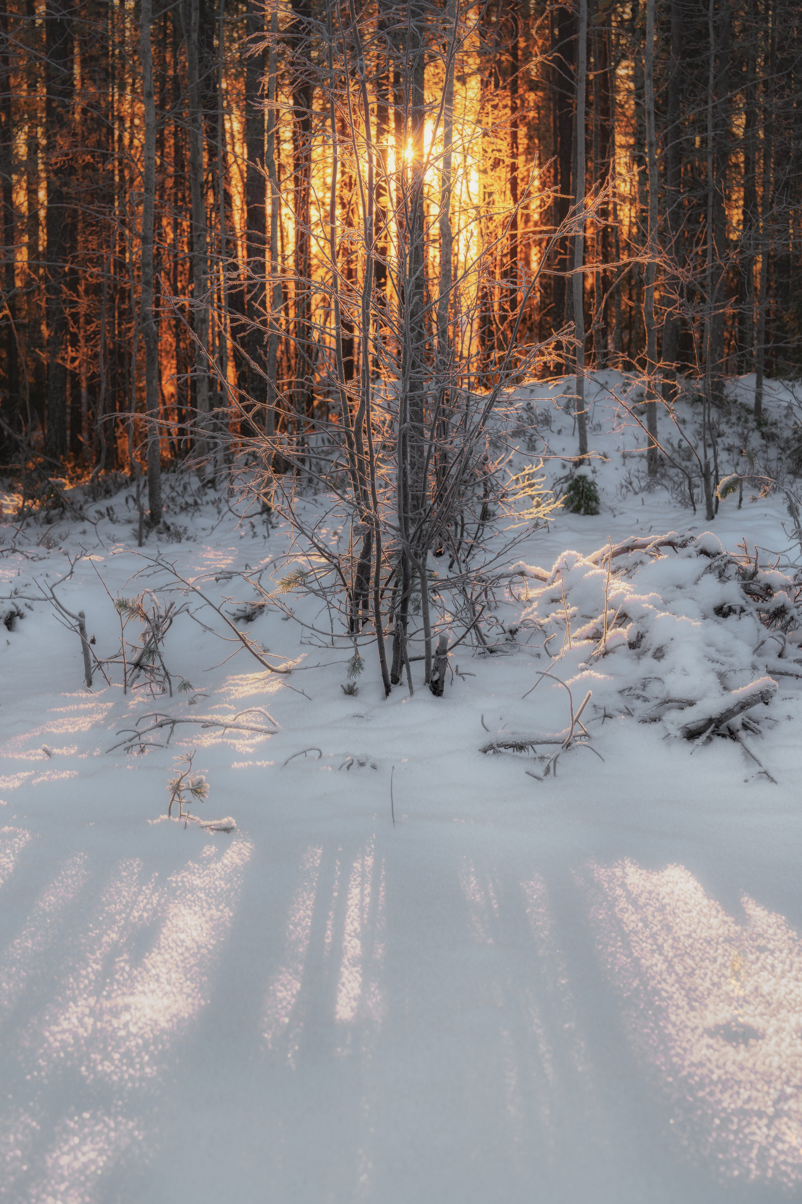 Предзимье на Кольском
