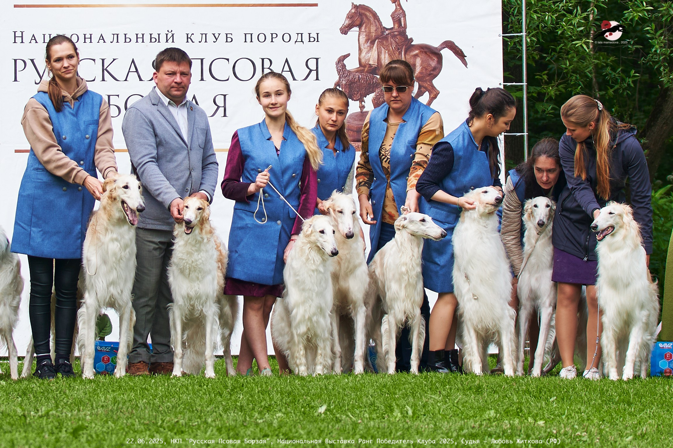 22.06.2025 | Национальная Выставка НКП "Русская Псовая Борзая"