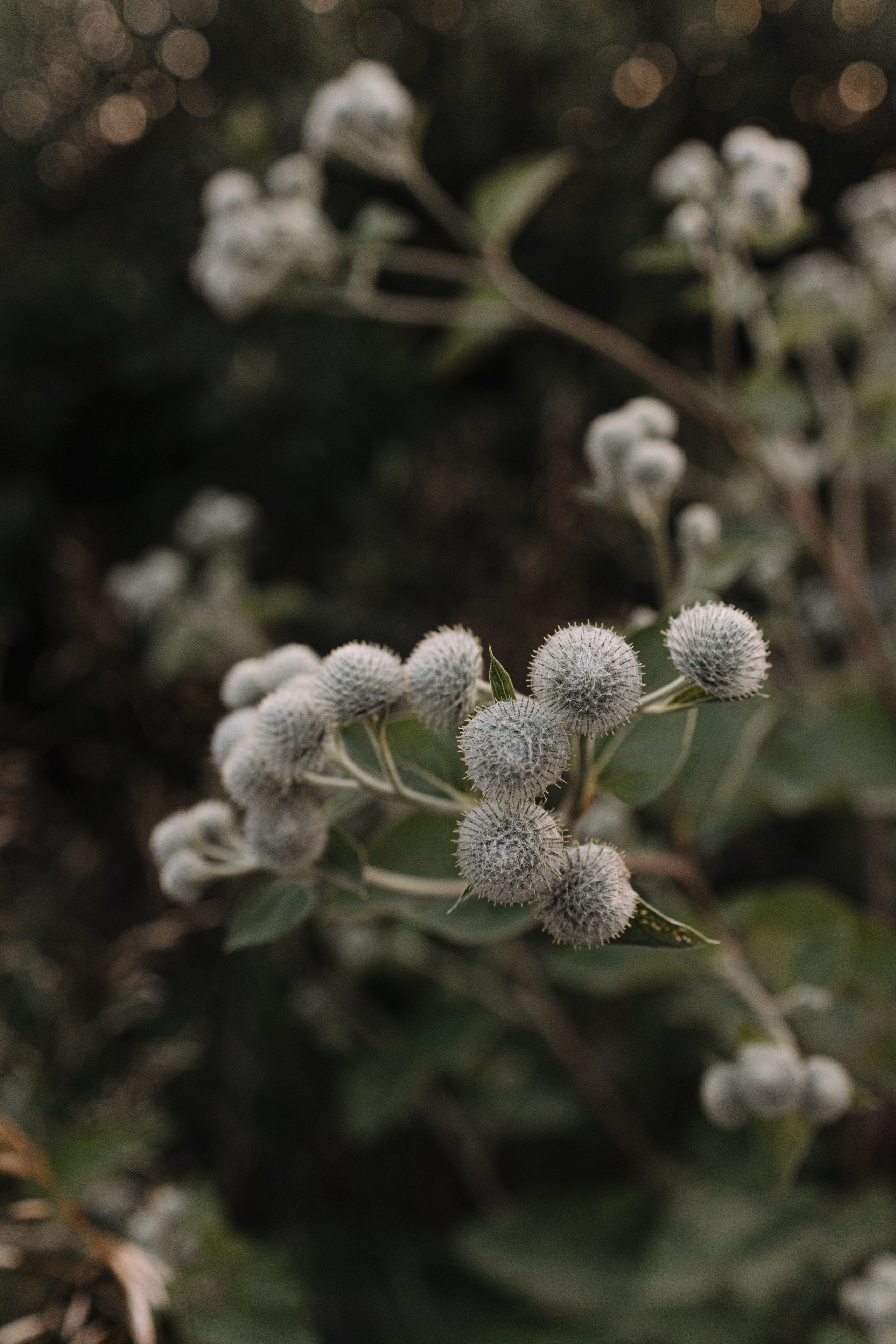 За городом. Про любовь