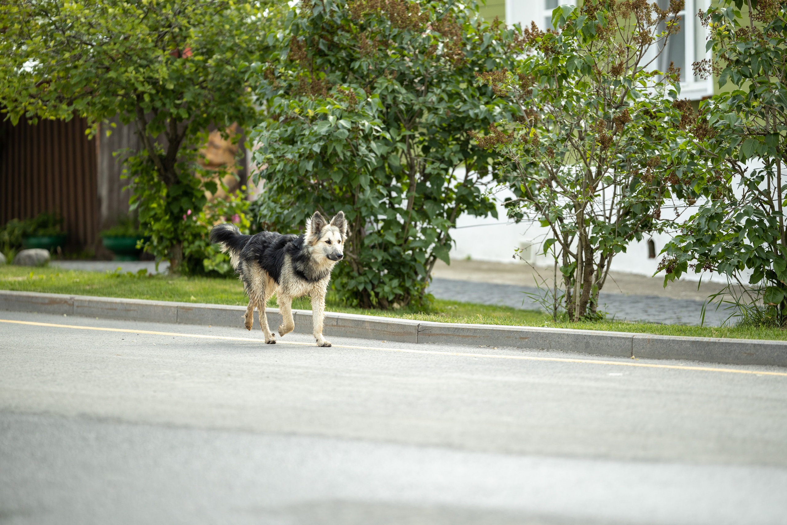 Путешествие по Суздалю. Портретный фотограф в Костроме Наталия Клевинскас