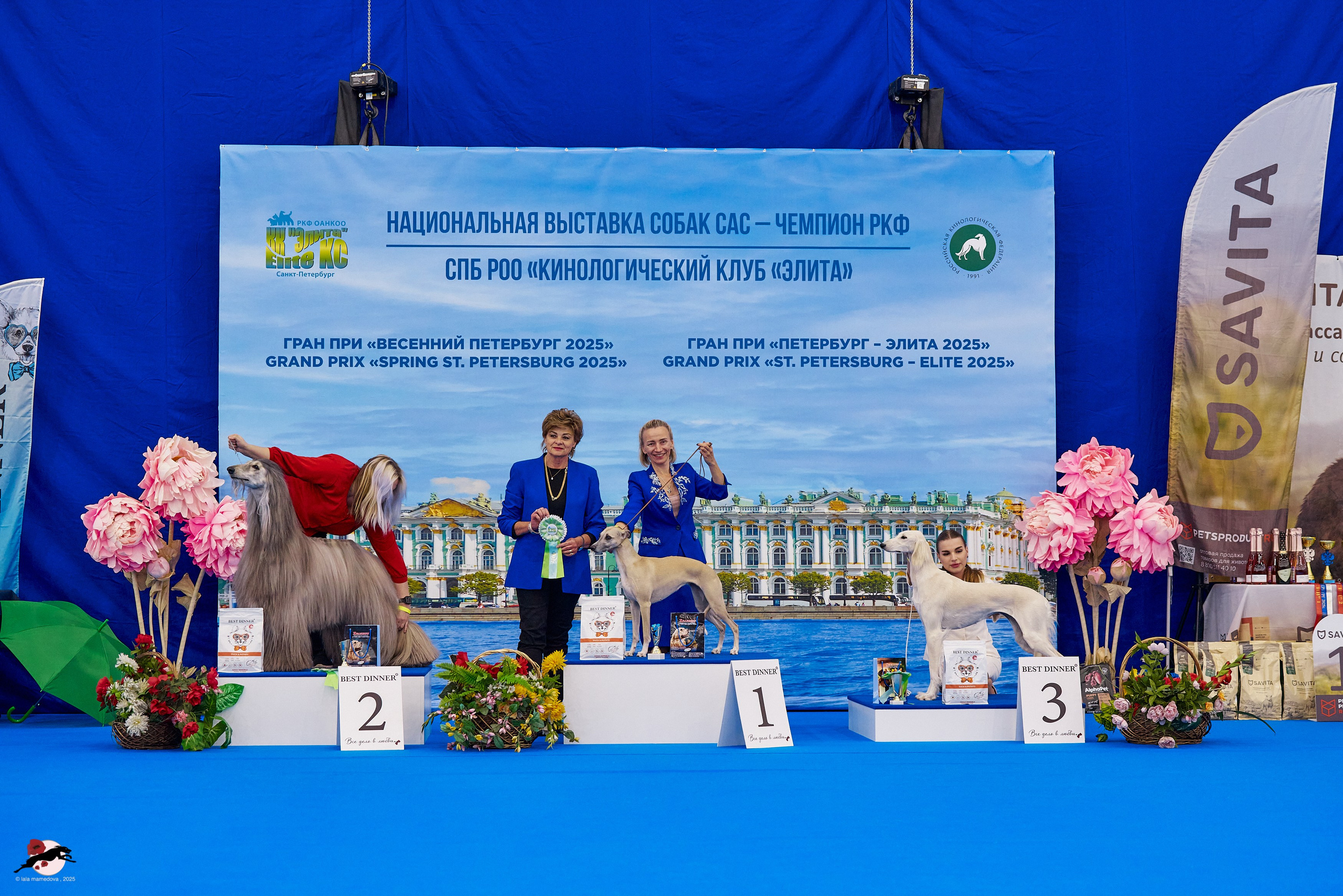 ГРАН ПРИ «ВЕСЕННИЙ ПЕТЕРБУРГ» & «СУПЕР КУБОК «ЭЛИТЫ»-2025»