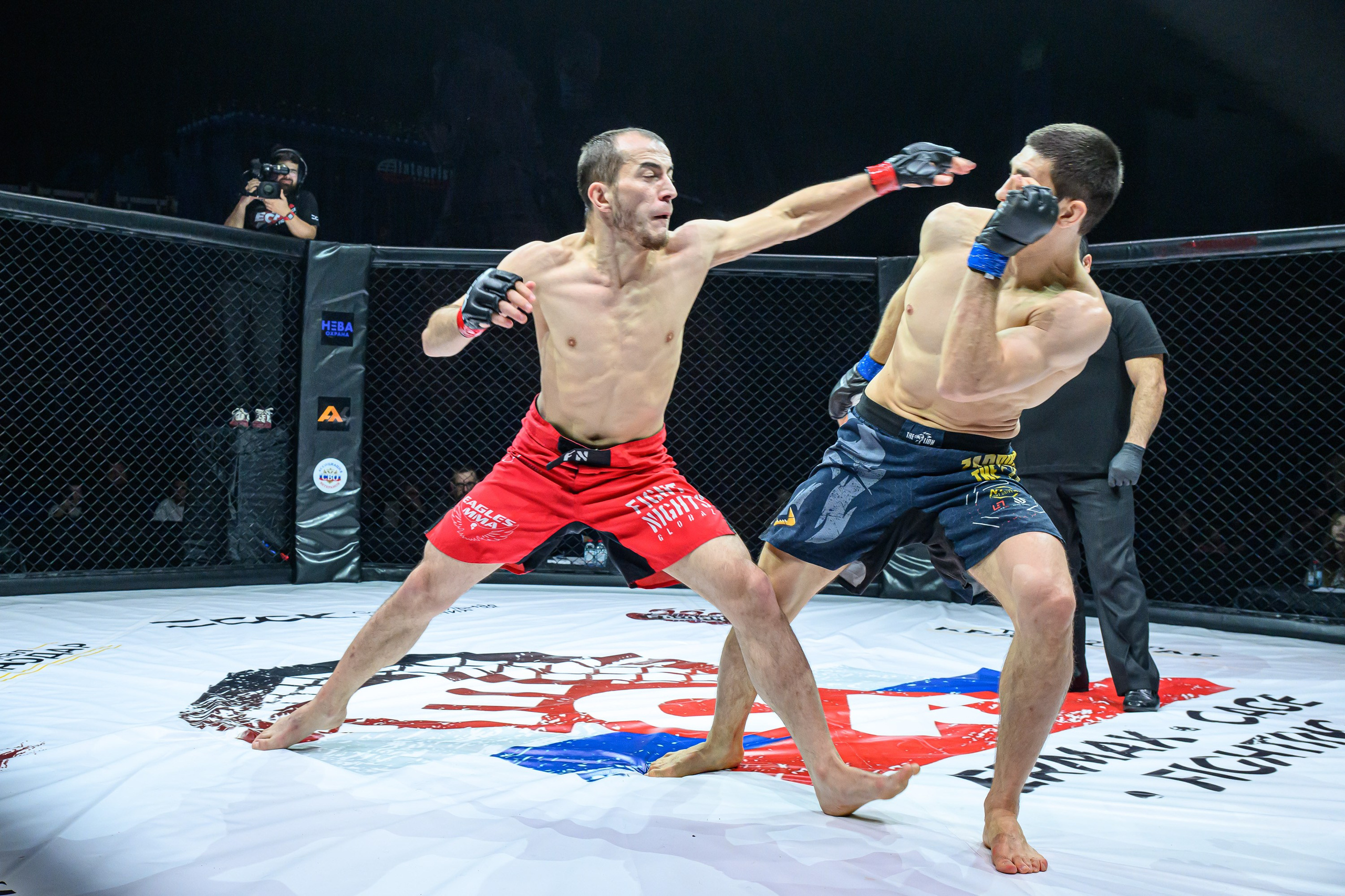 Фотосъемка профессионального турнира по смешанным единоборствам. Профессиональная фотосъемка. Ростов-на-Дону