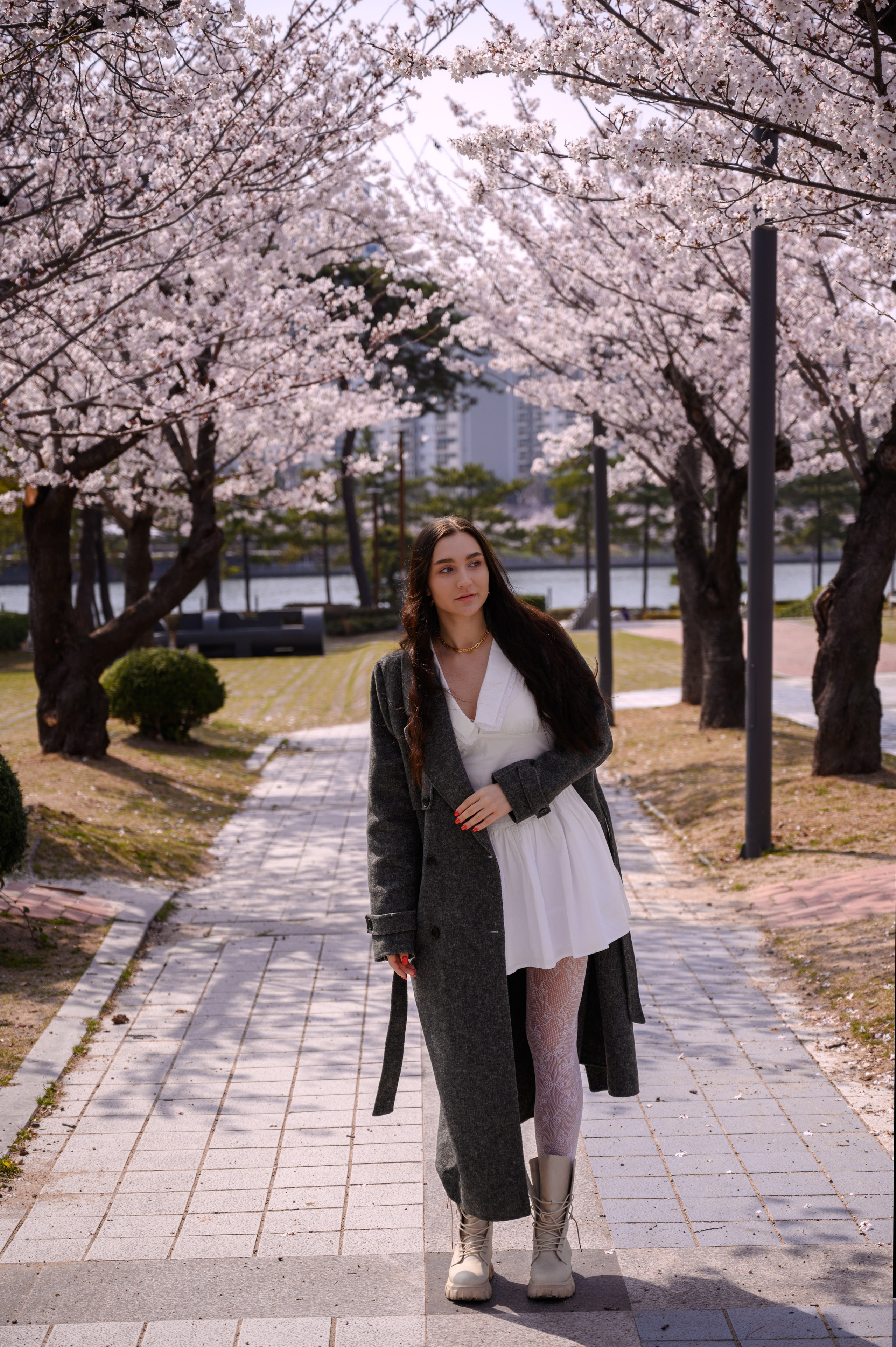 Female portrait during cherry blossom season in Busan South Korea