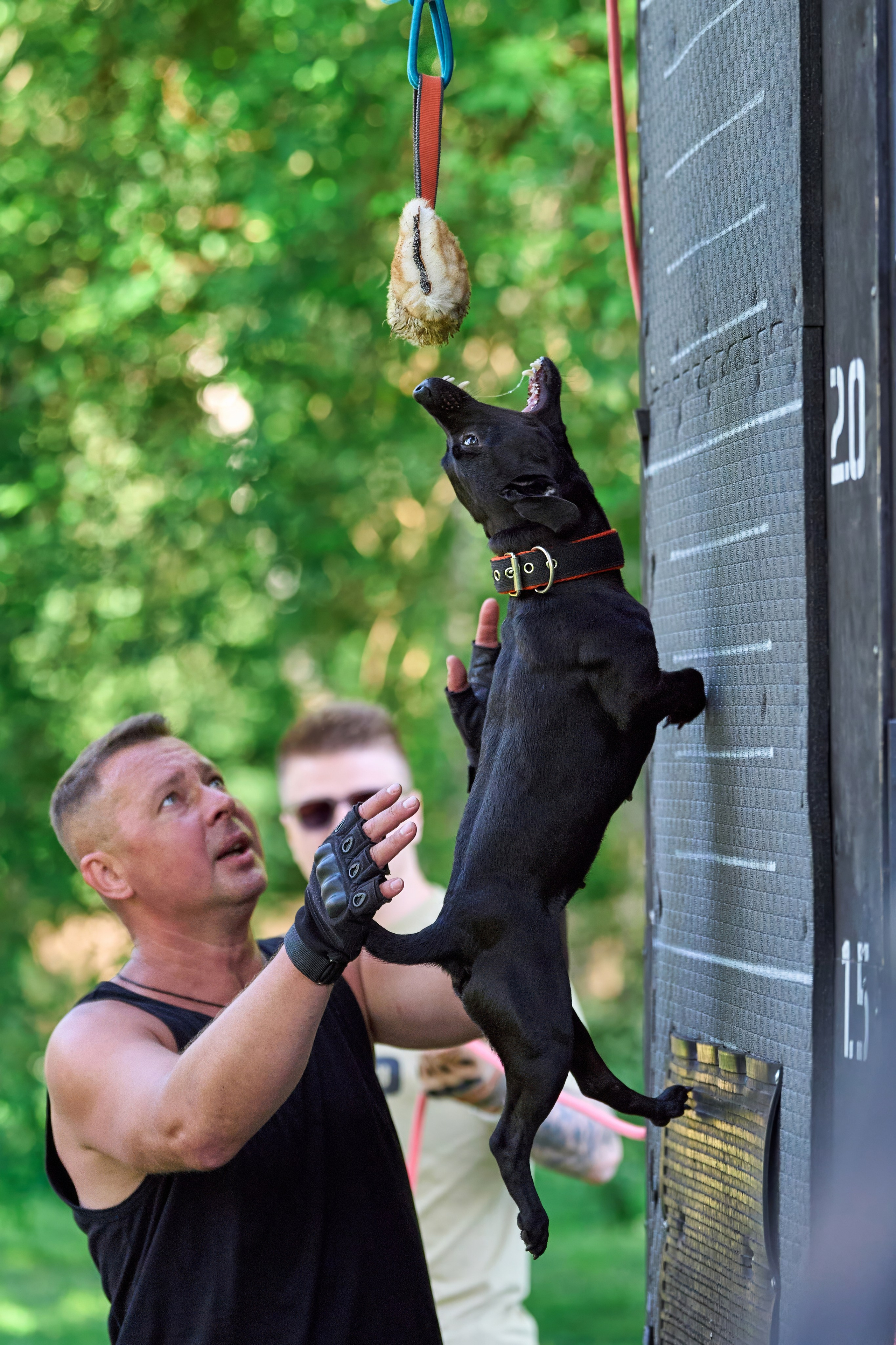 Двухдневные соревнования «Jump'n'Gym Fest — 2024». Фотограф-анималист Михаил Манухин