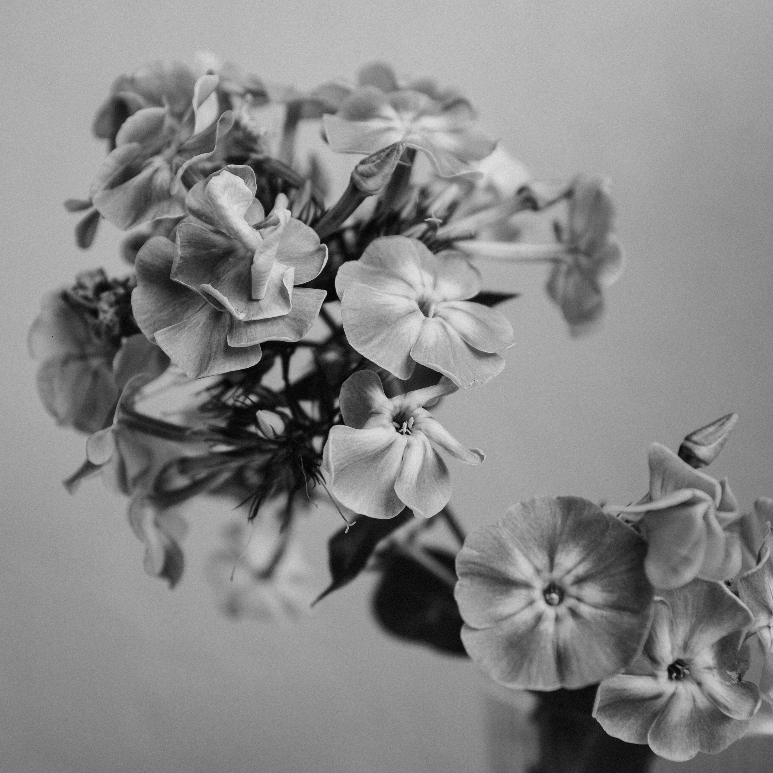 Фотограф в Москве — Анна Киселёва | портреты и тёплые истории