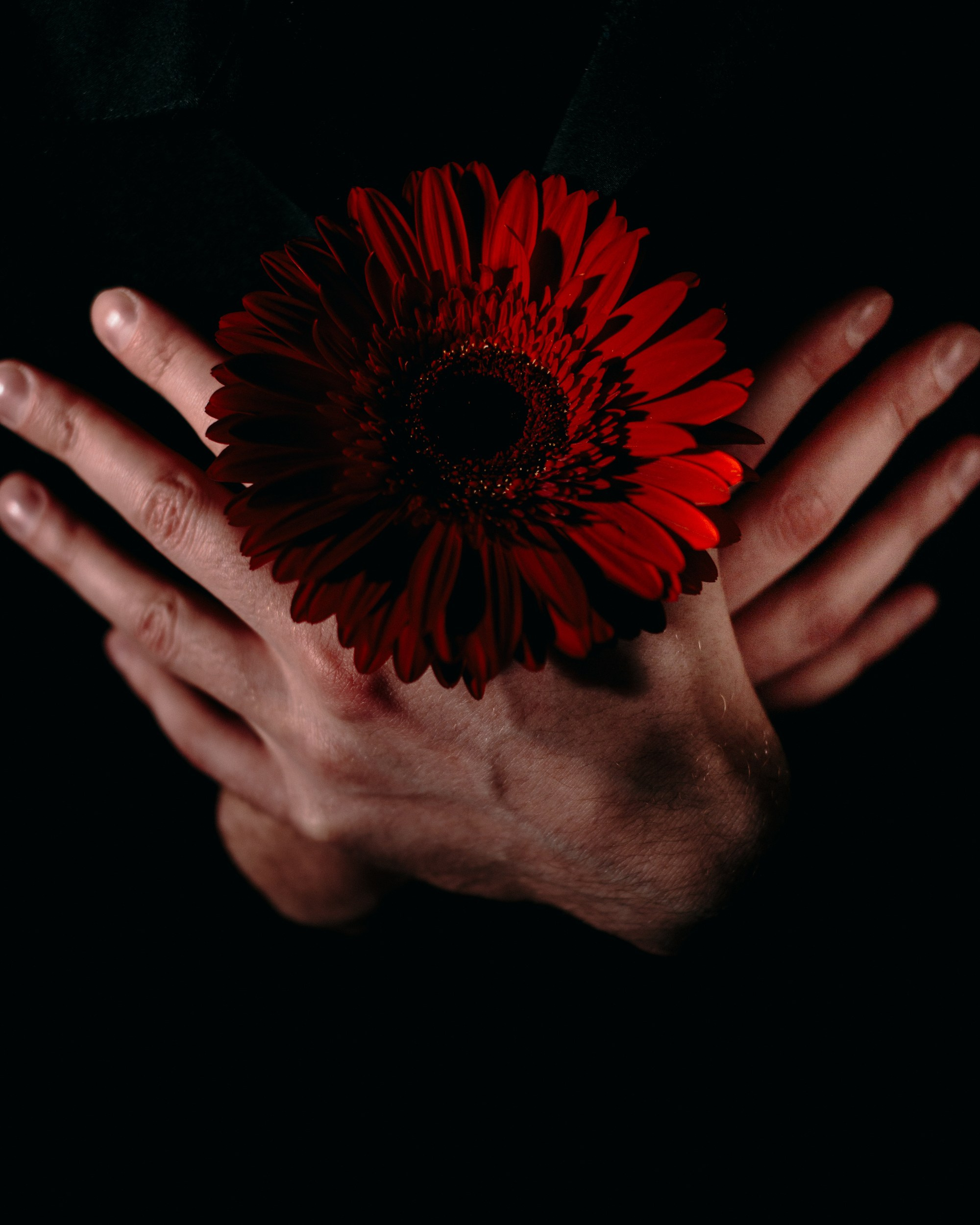 1. Рубедо. Репортажный и портретный фотограф во Владимире Сергей Кравцов