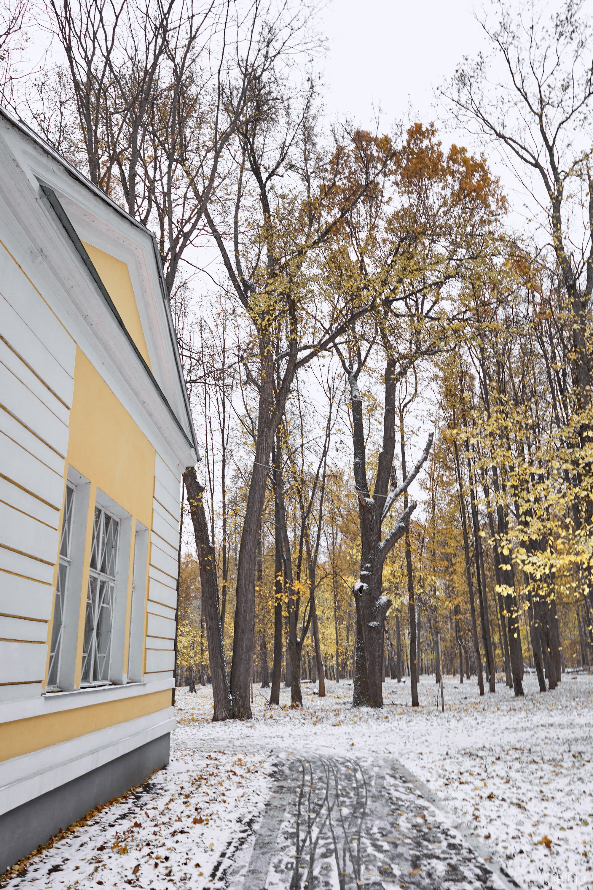 «Иду лесом». Кофе лофт в Братцево. Фотографъ Сергѣевъ. Поймать мгновеніе