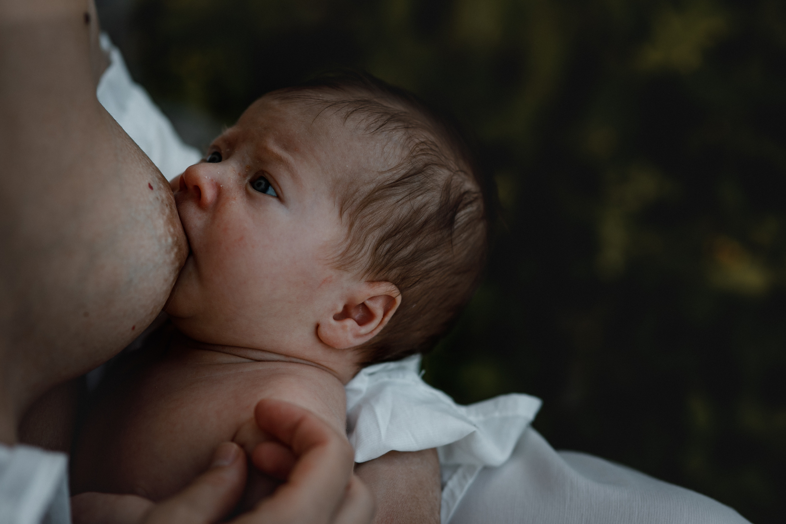 Мадонна. Возвращение к истокам