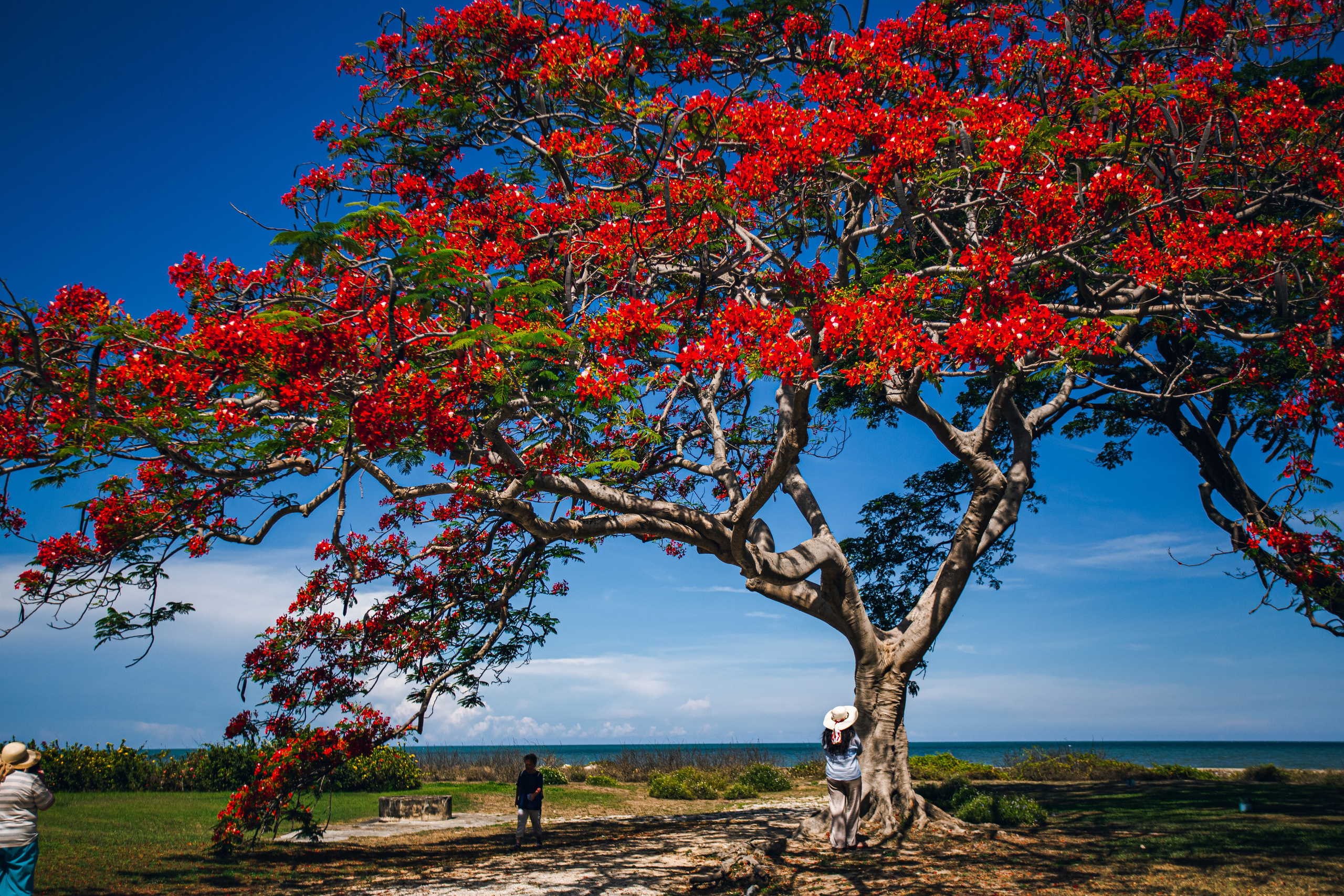 Фототур в Хуахин (Тайланд). Семейный и художественный фотограф в Тюмени Юлия Логинова