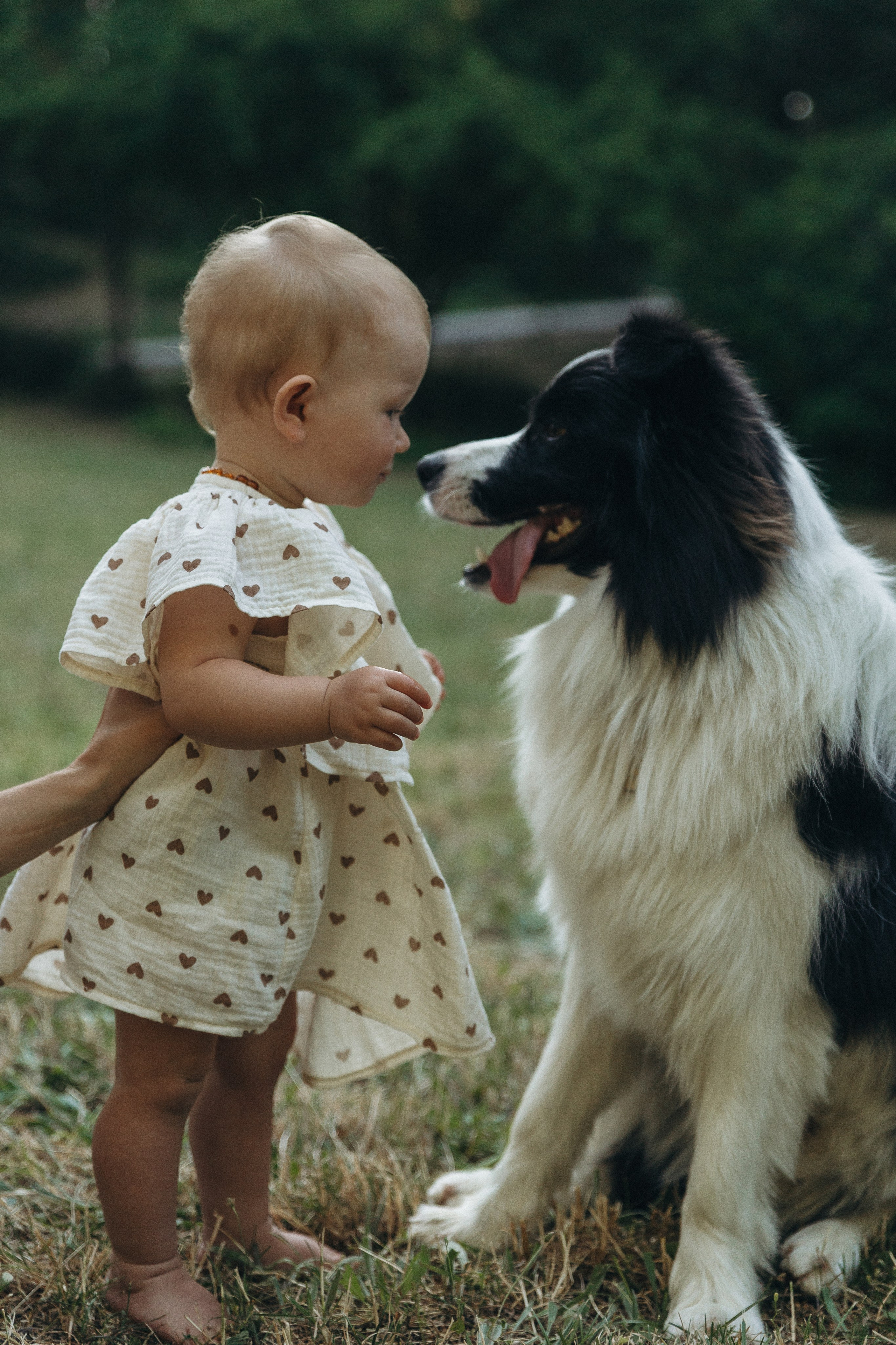 Стоимость фотосессии в Ялте. Семейный фотограф в Ялте